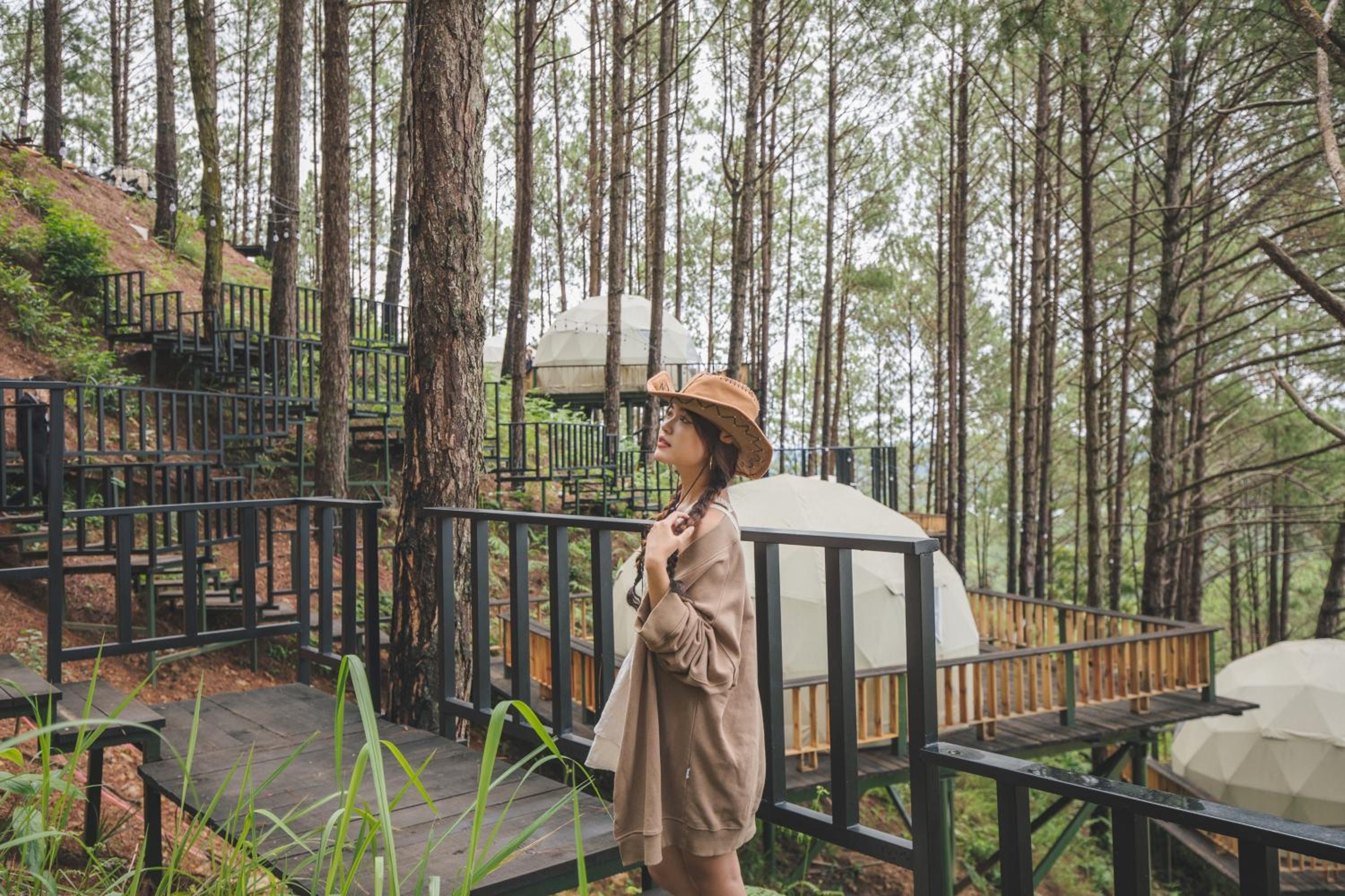 Lavender Dalat Hotel and Resorts