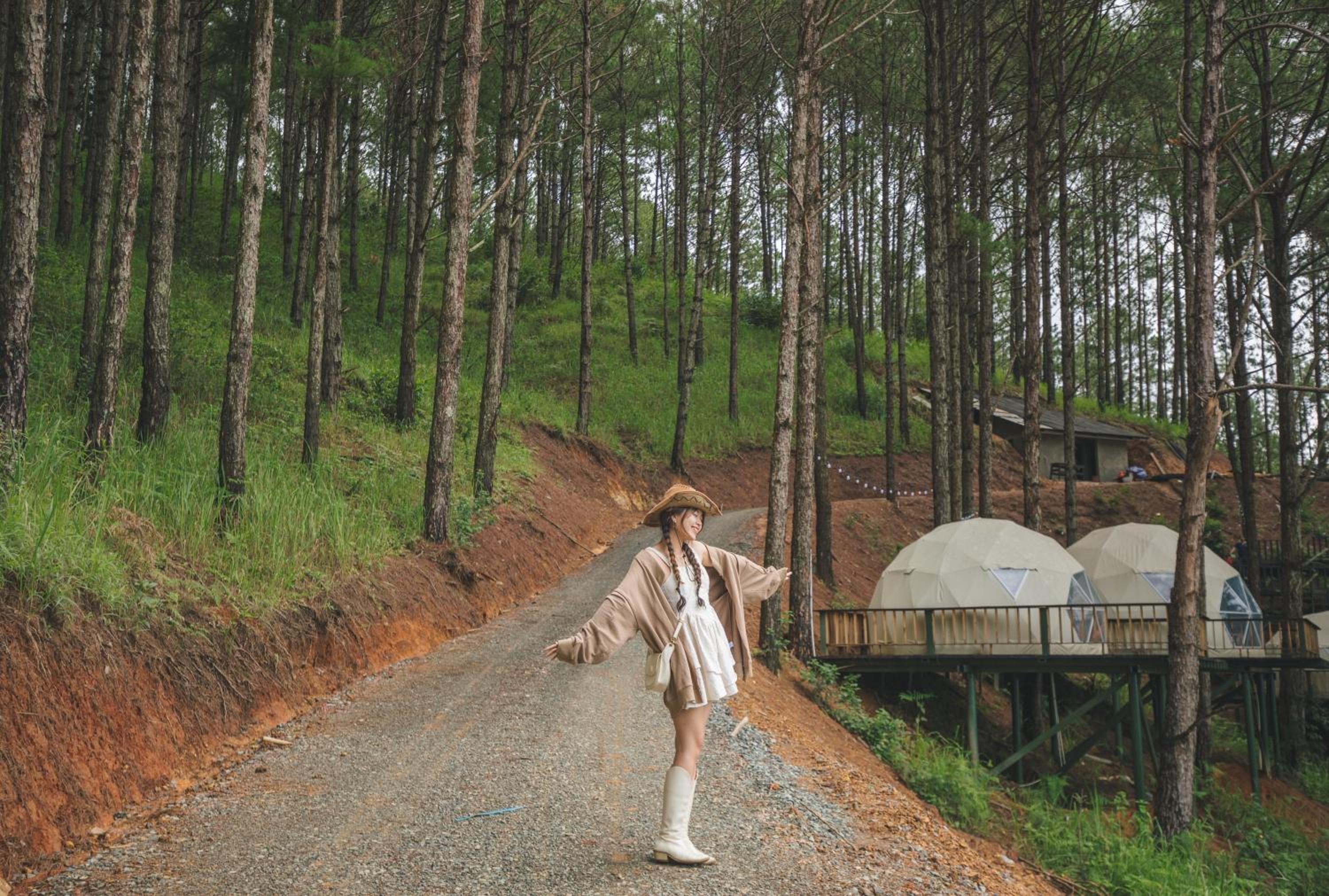 Lavender Dalat Hotel and Resorts