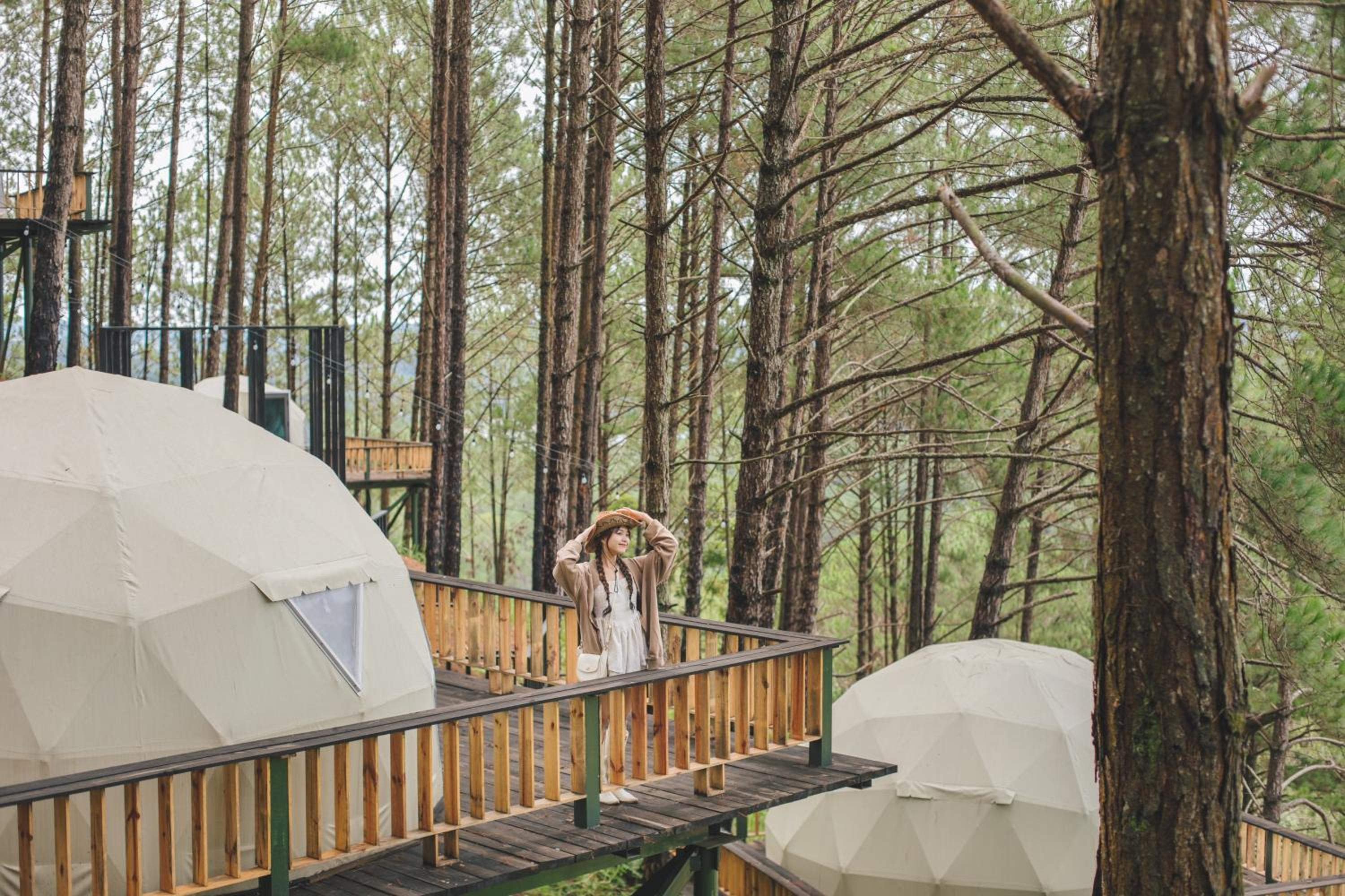 Lavender Dalat Hotel and Resorts