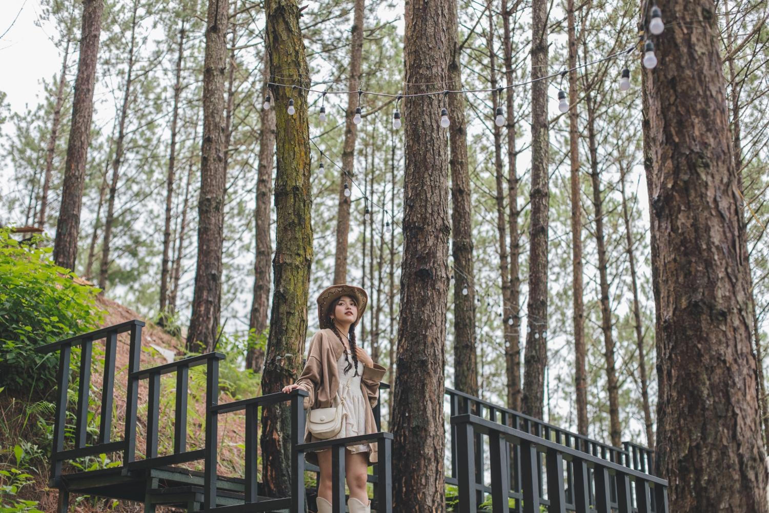 Lavender Dalat Hotel and Resorts