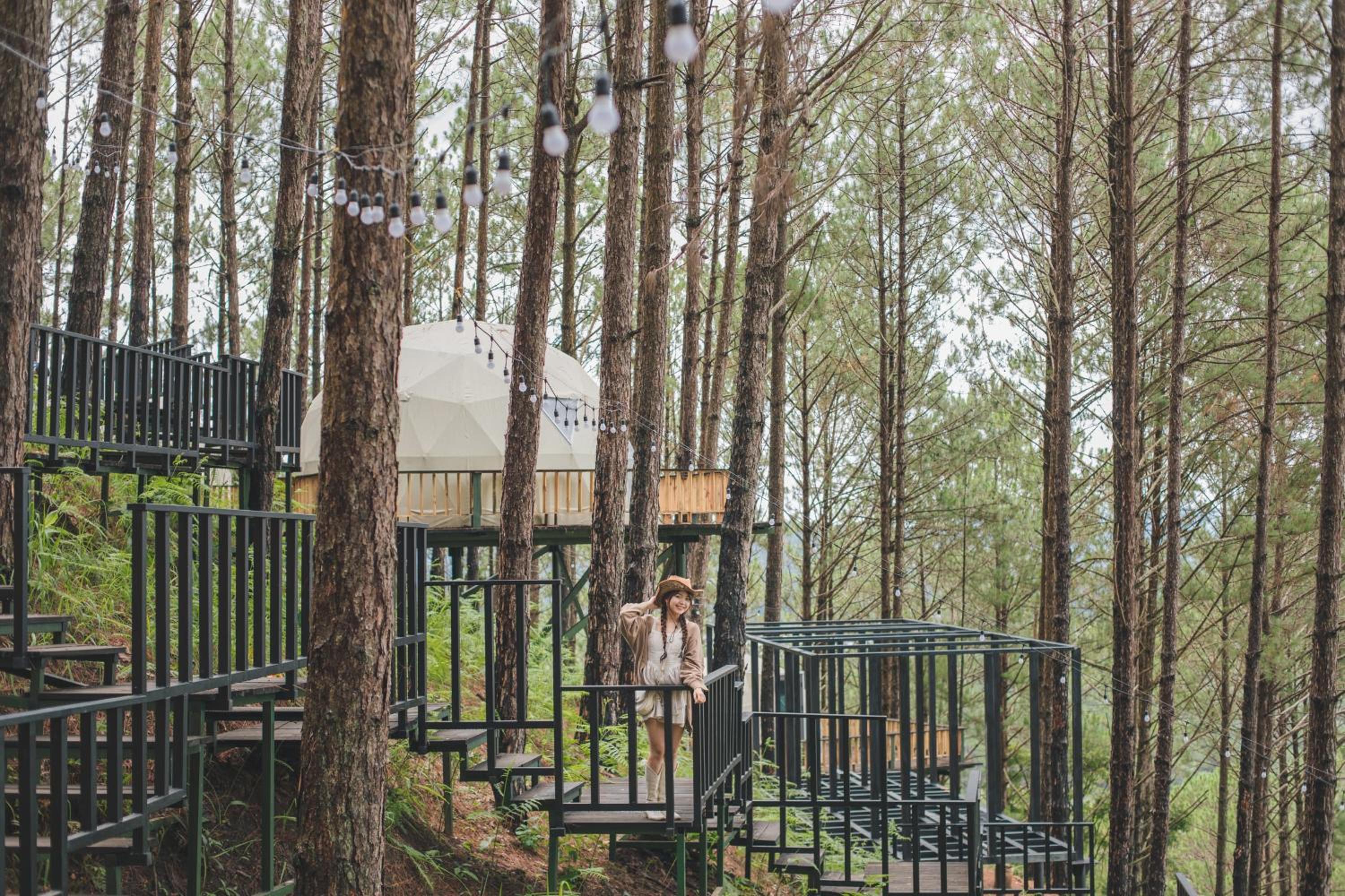 Lavender Dalat Hotel and Resorts