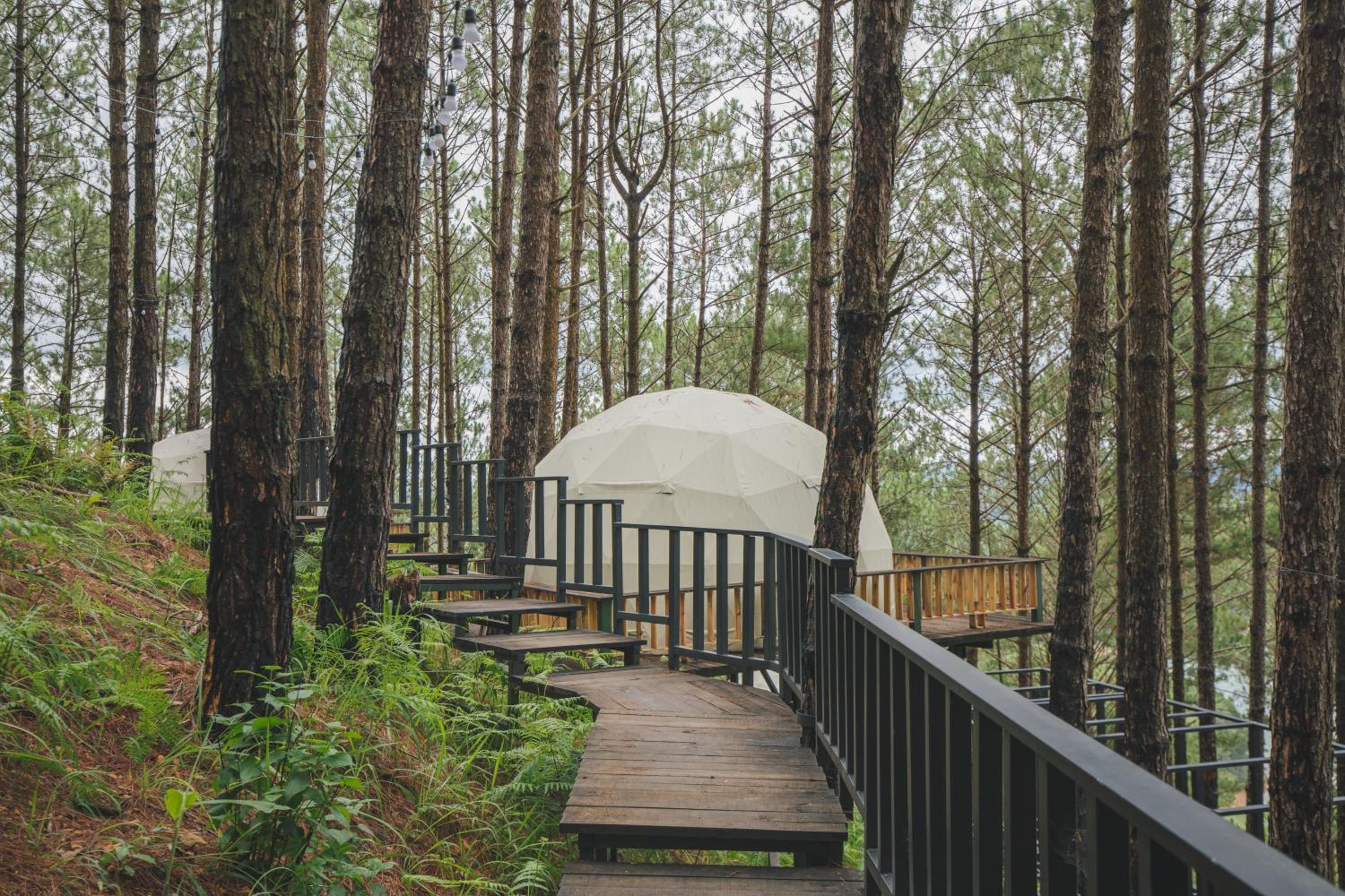 Lavender Dalat Hotel and Resorts