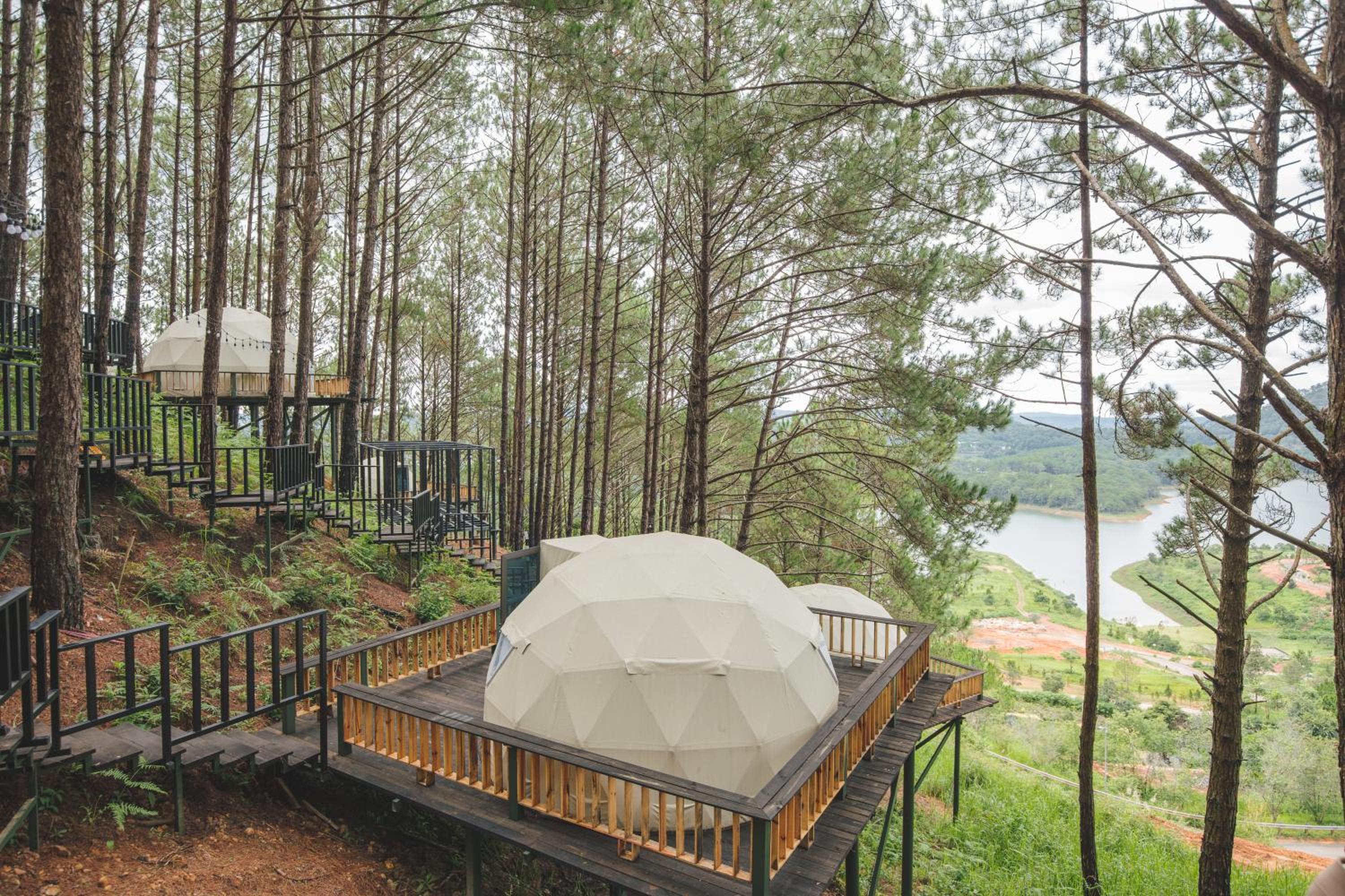 Lavender Dalat Hotel and Resorts