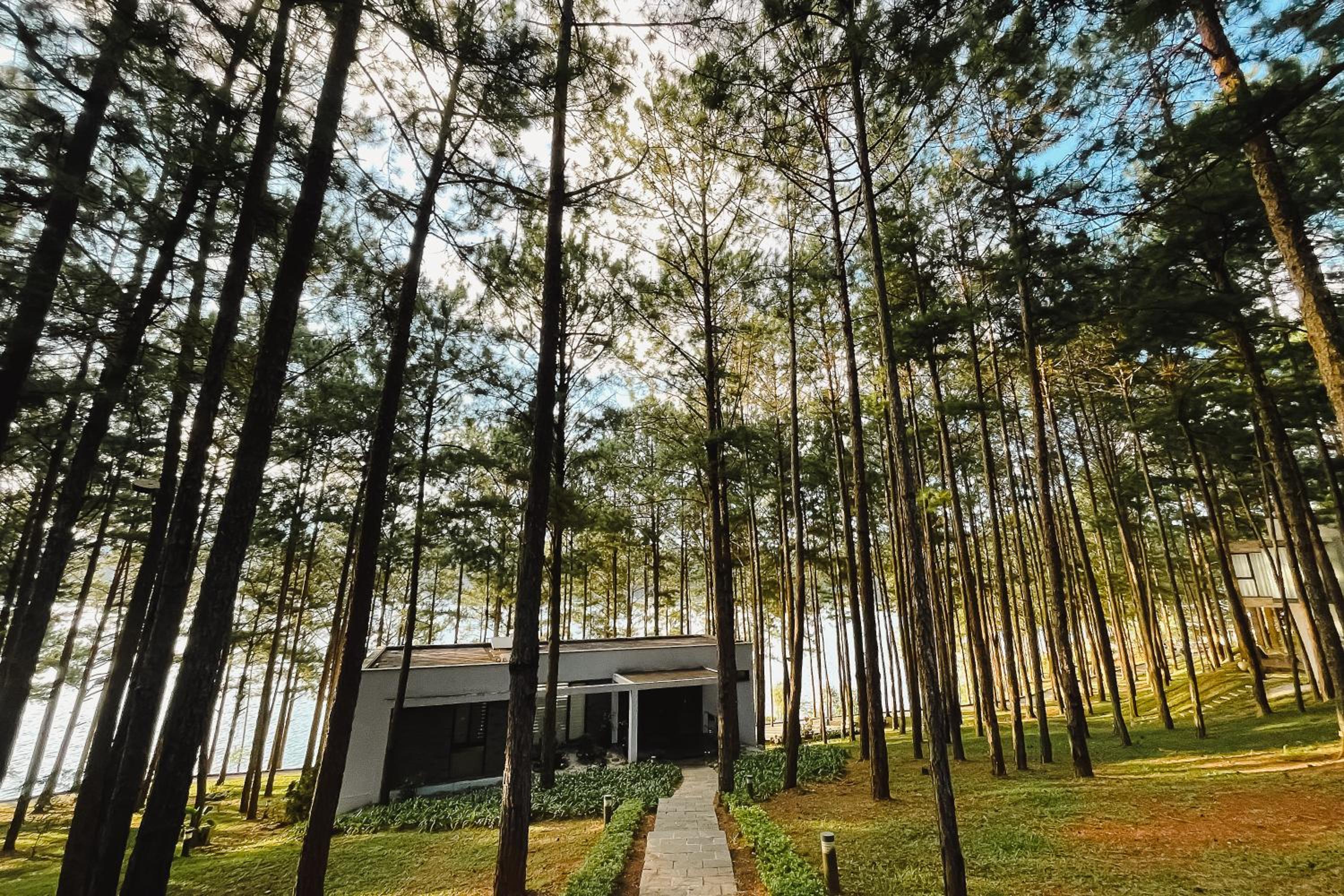 Terracotta Hotel & Resort Dalat