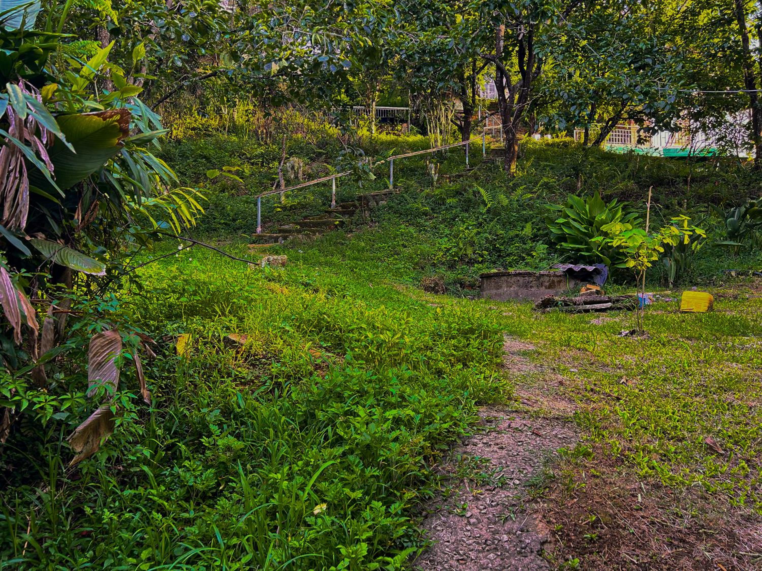 Hong Mon Villa