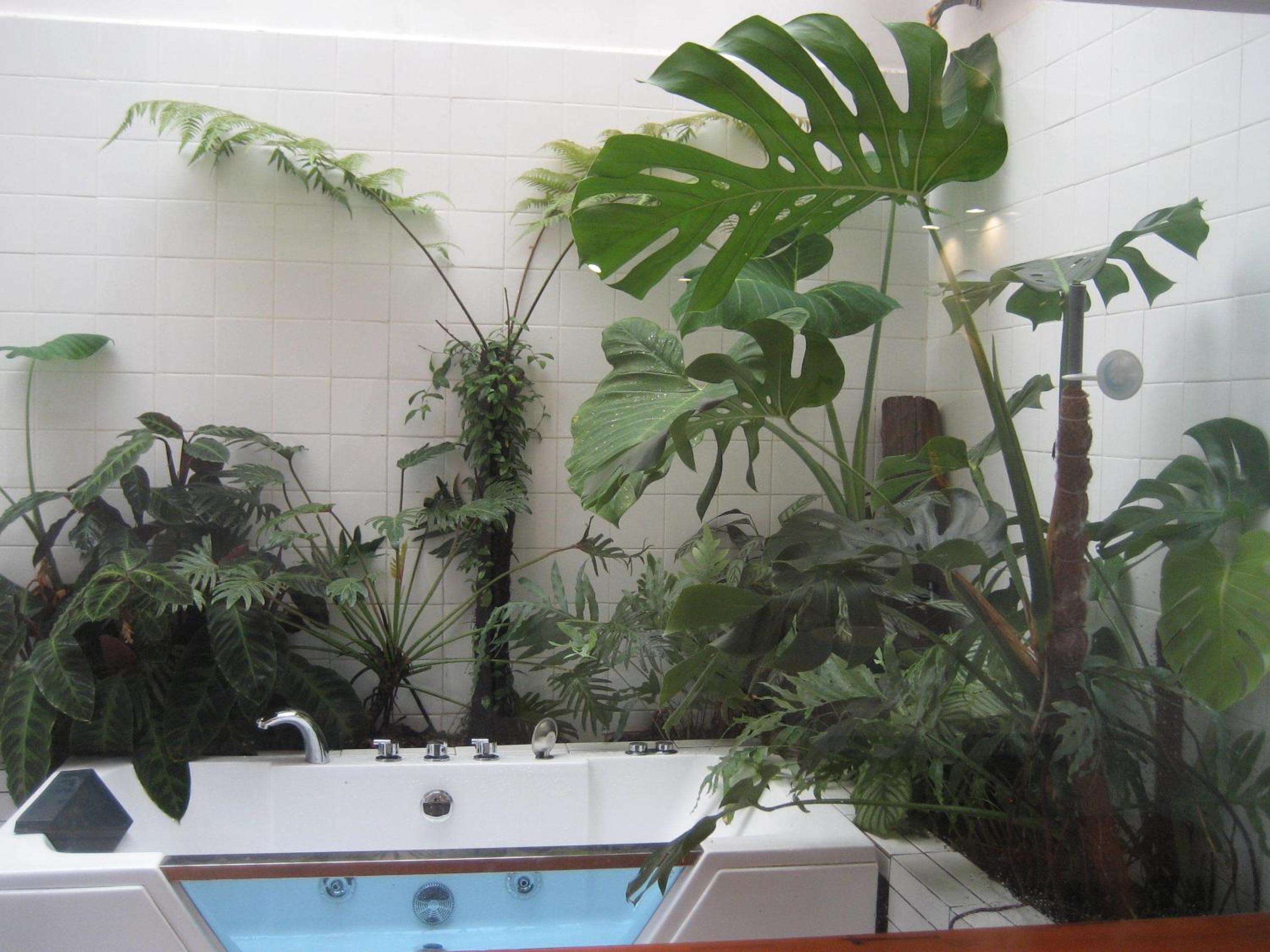 Dốc Garden Homestay Đà Lạt