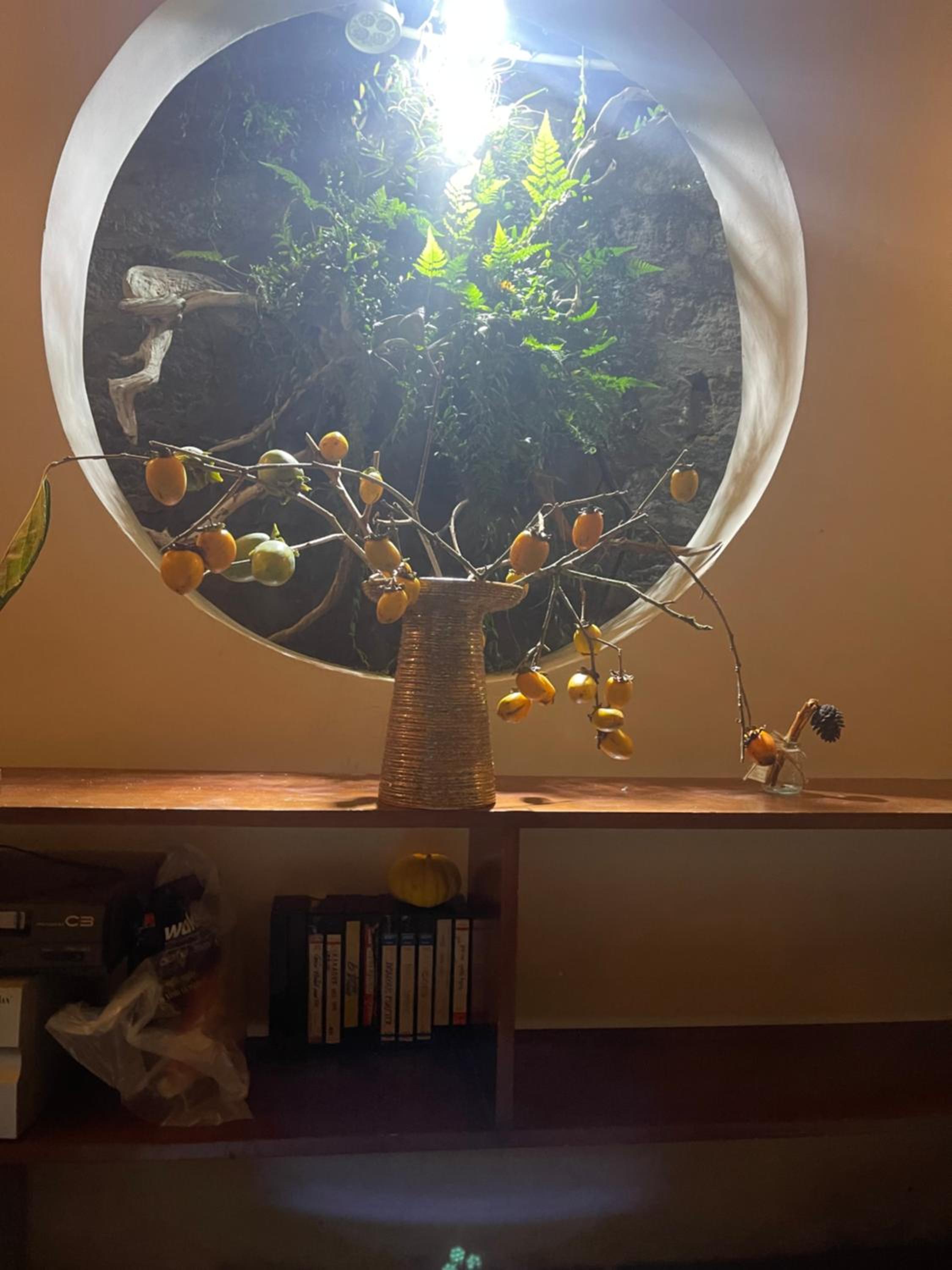 Dốc Garden Homestay Đà Lạt