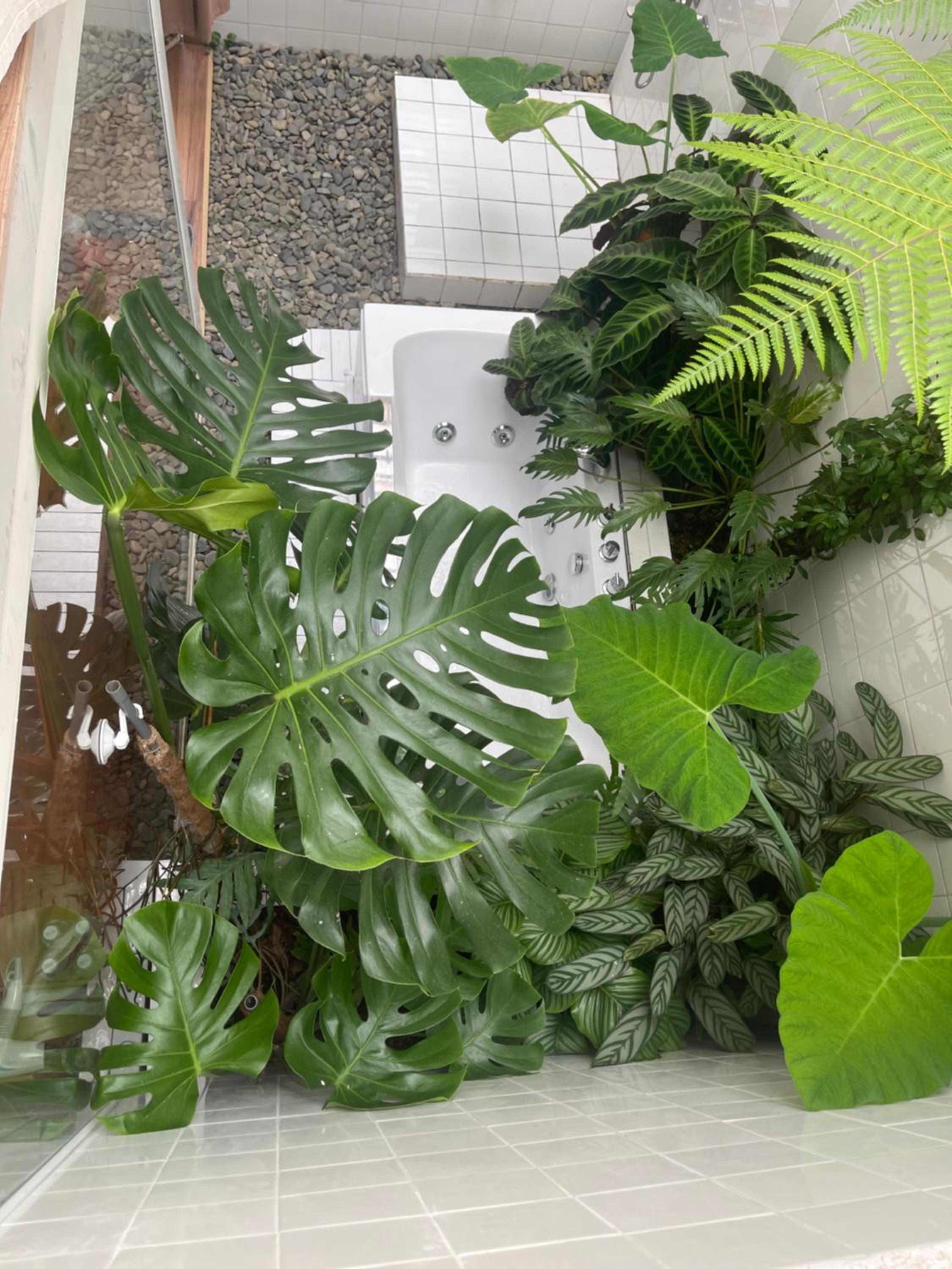 Dốc Garden Homestay Đà Lạt