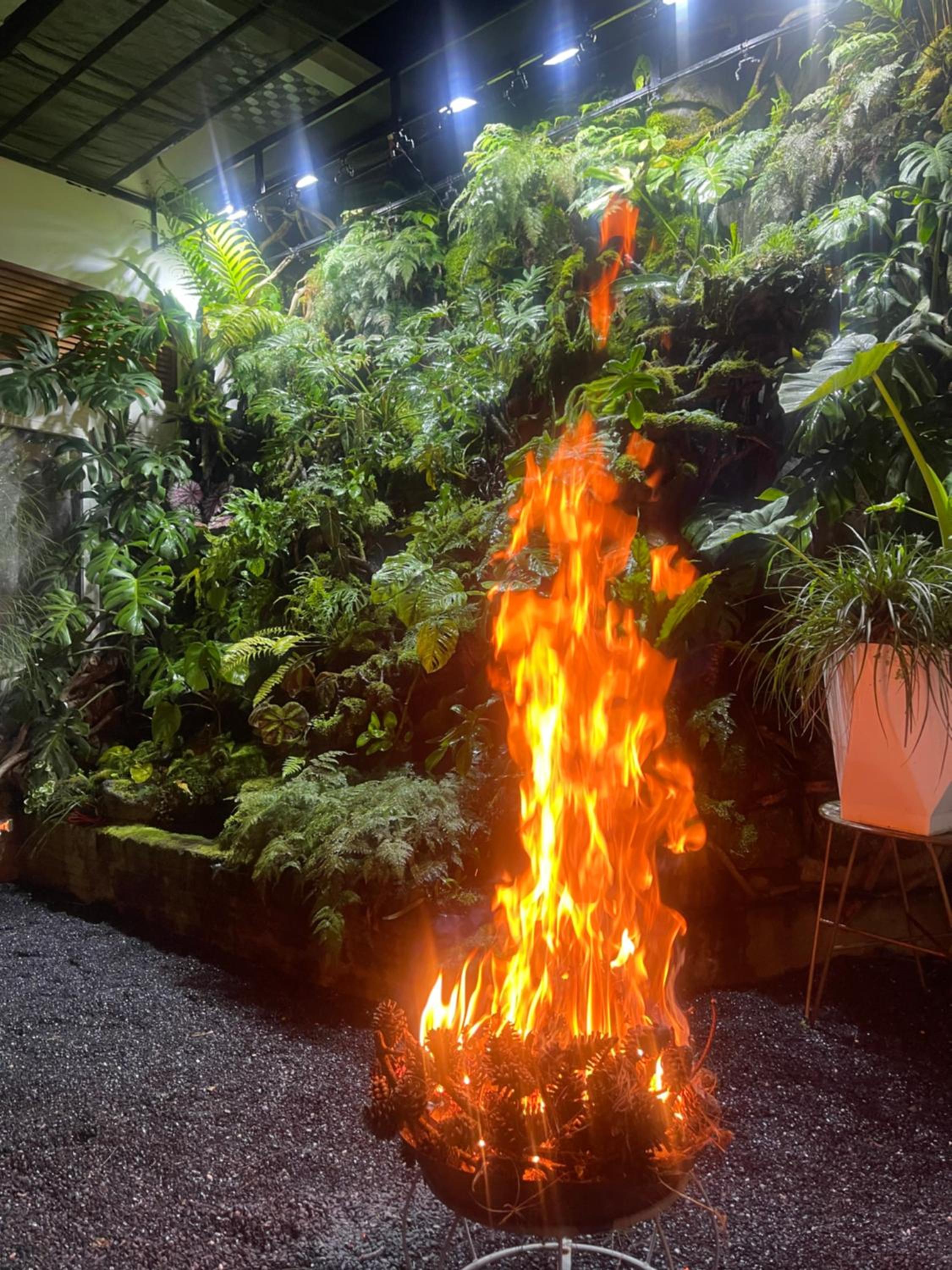 Dốc Garden Homestay Đà Lạt