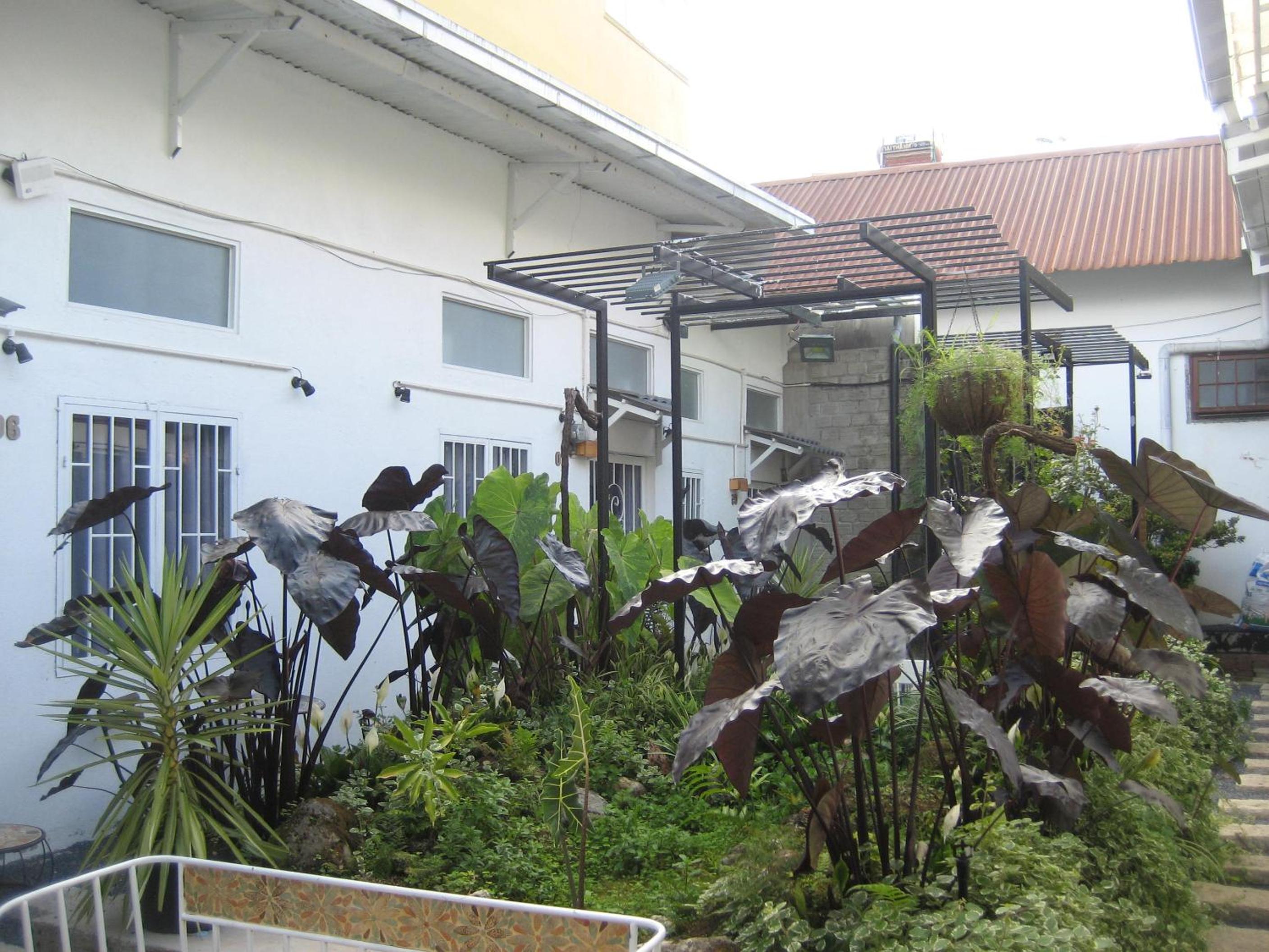 Dốc Garden Homestay Đà Lạt