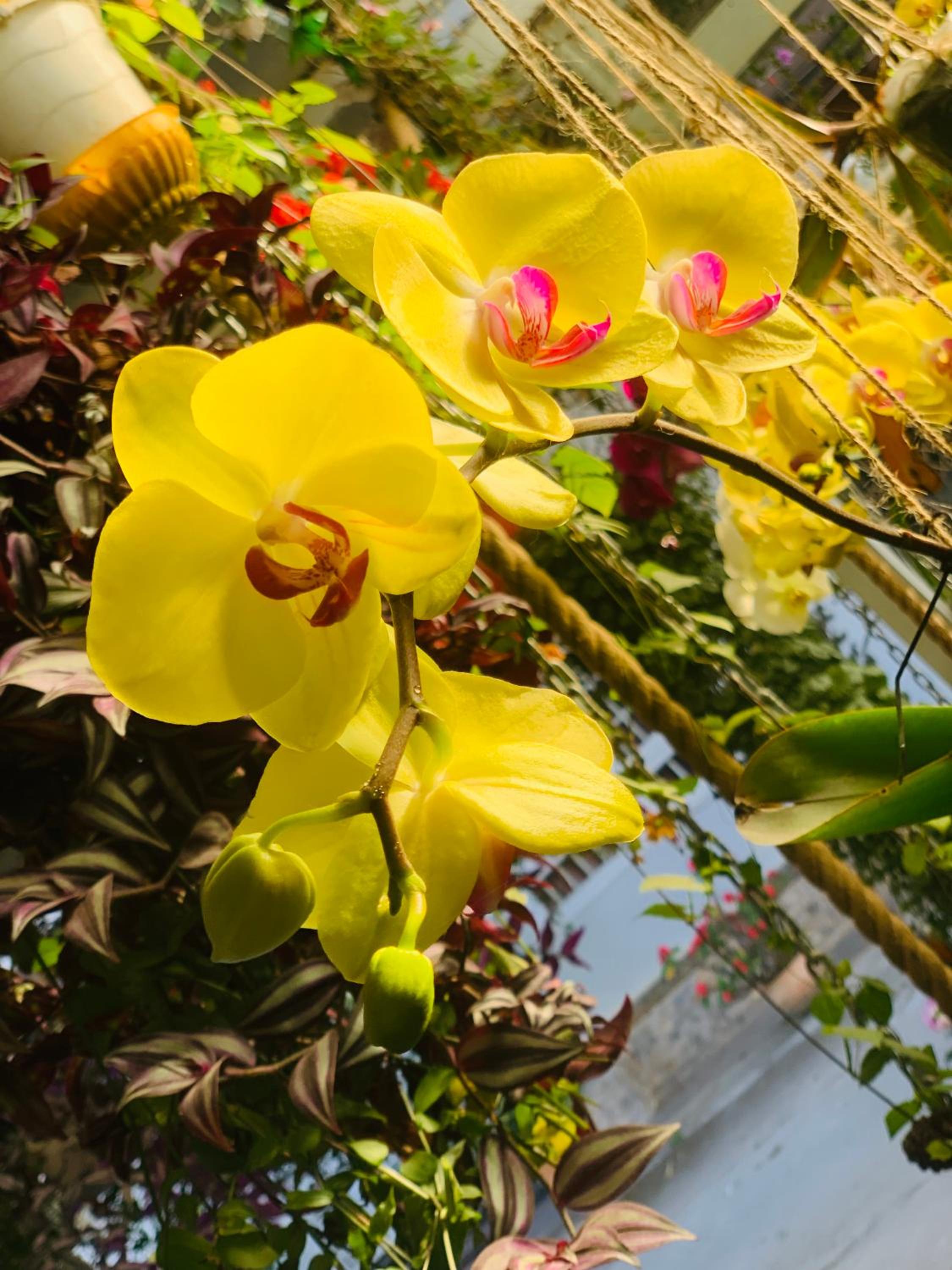 DALAT STREAM HOTEL-Khách sạn đẹp Đà Lạt