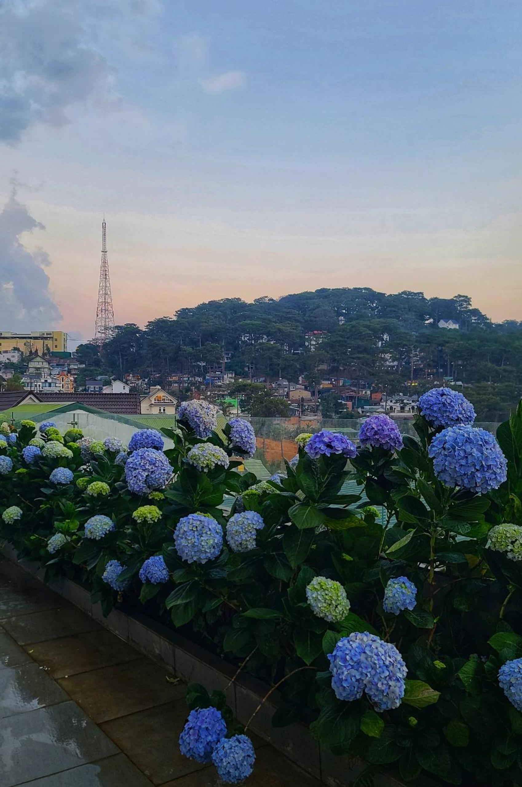 The Luxe Da Lat