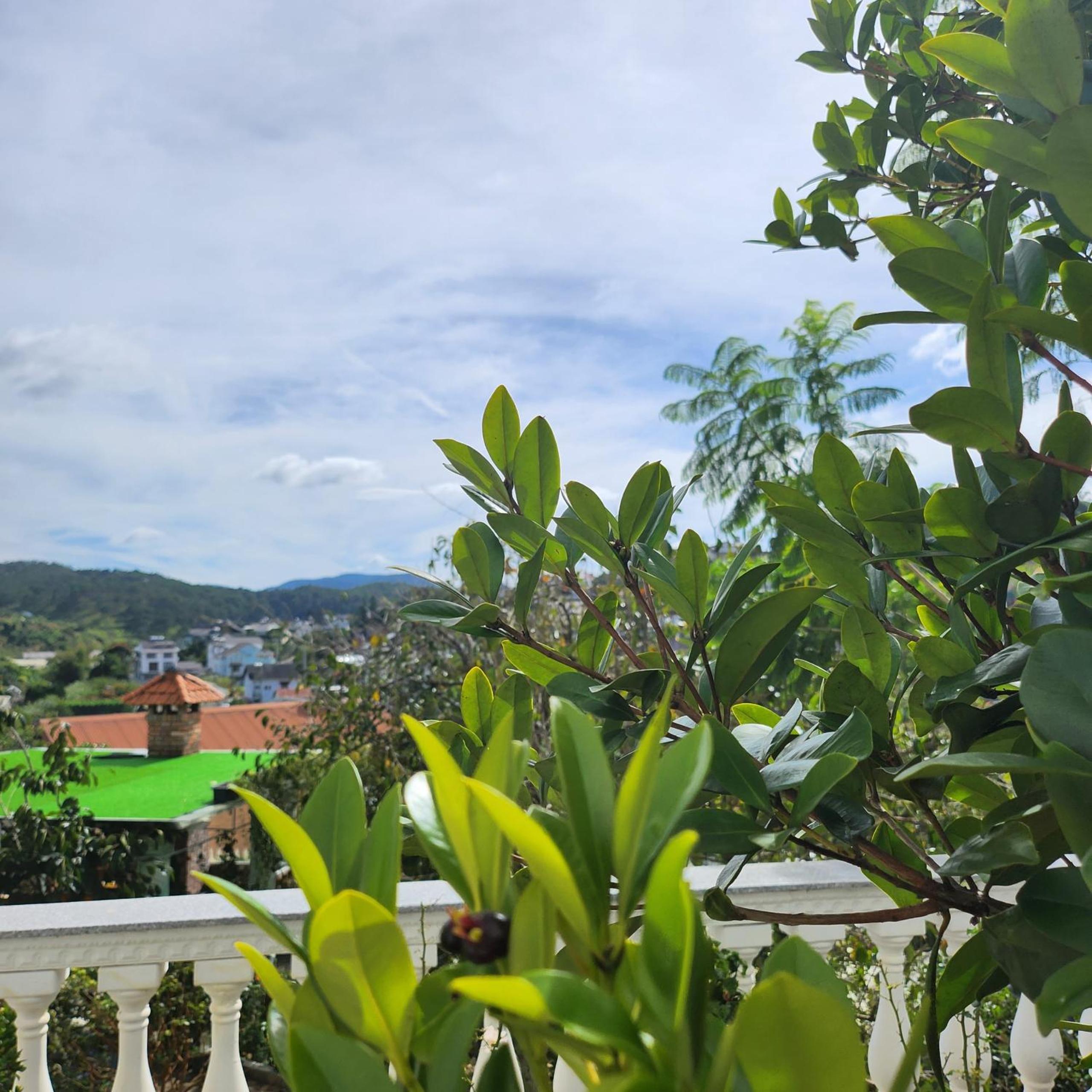 Myrtle Boutique Hotel