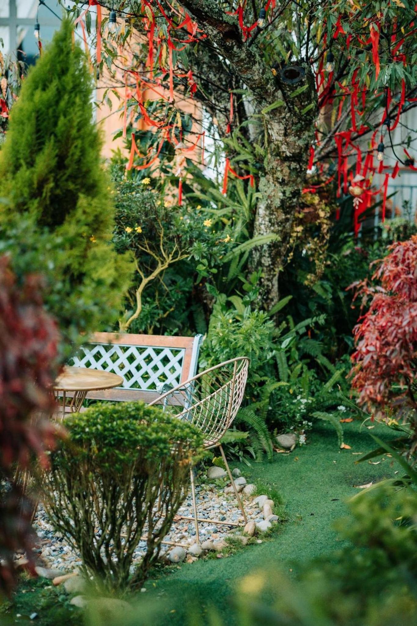 Nhà Sói Homestay Da Lat