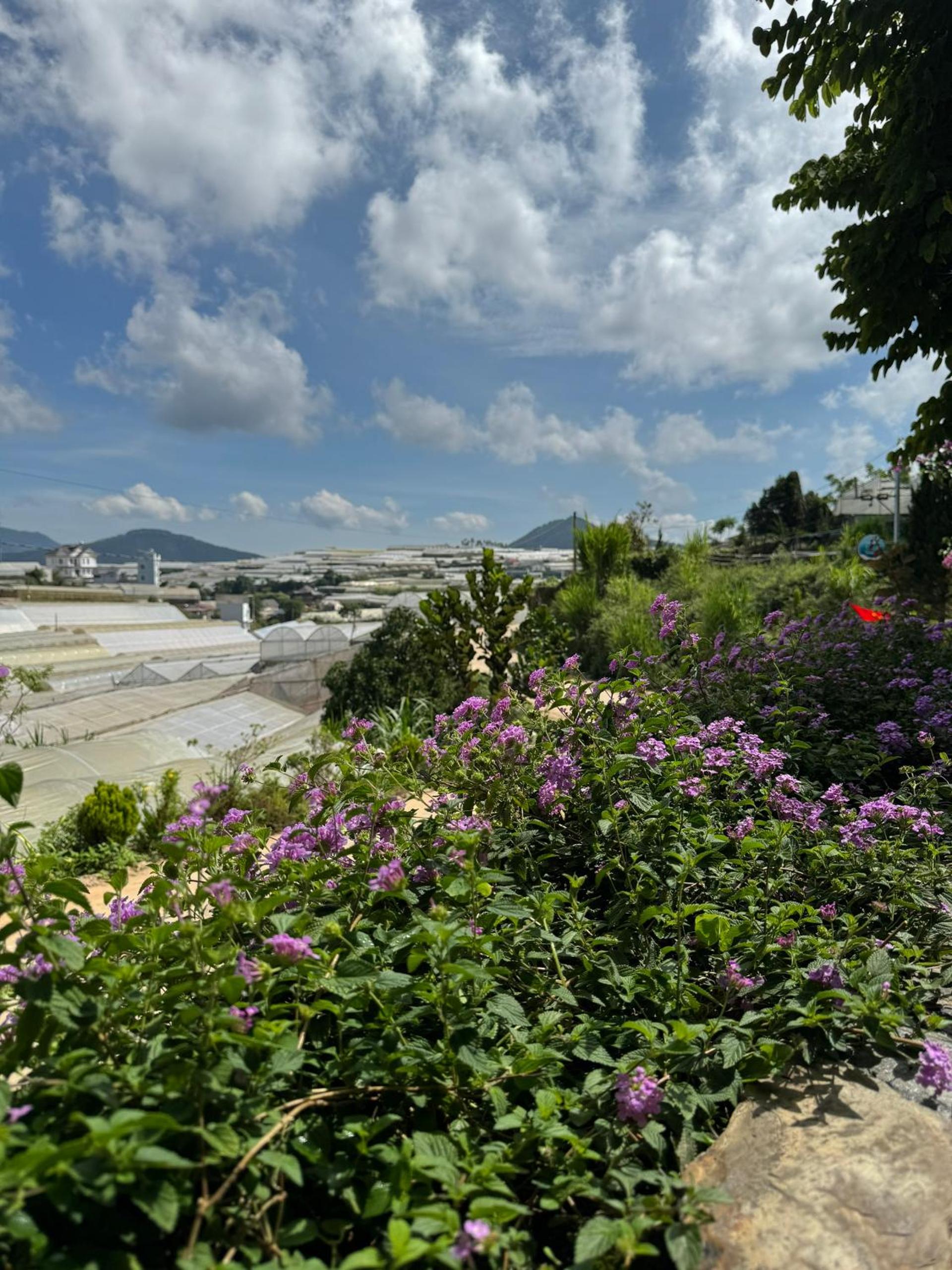 Nhà Sói Homestay Da Lat