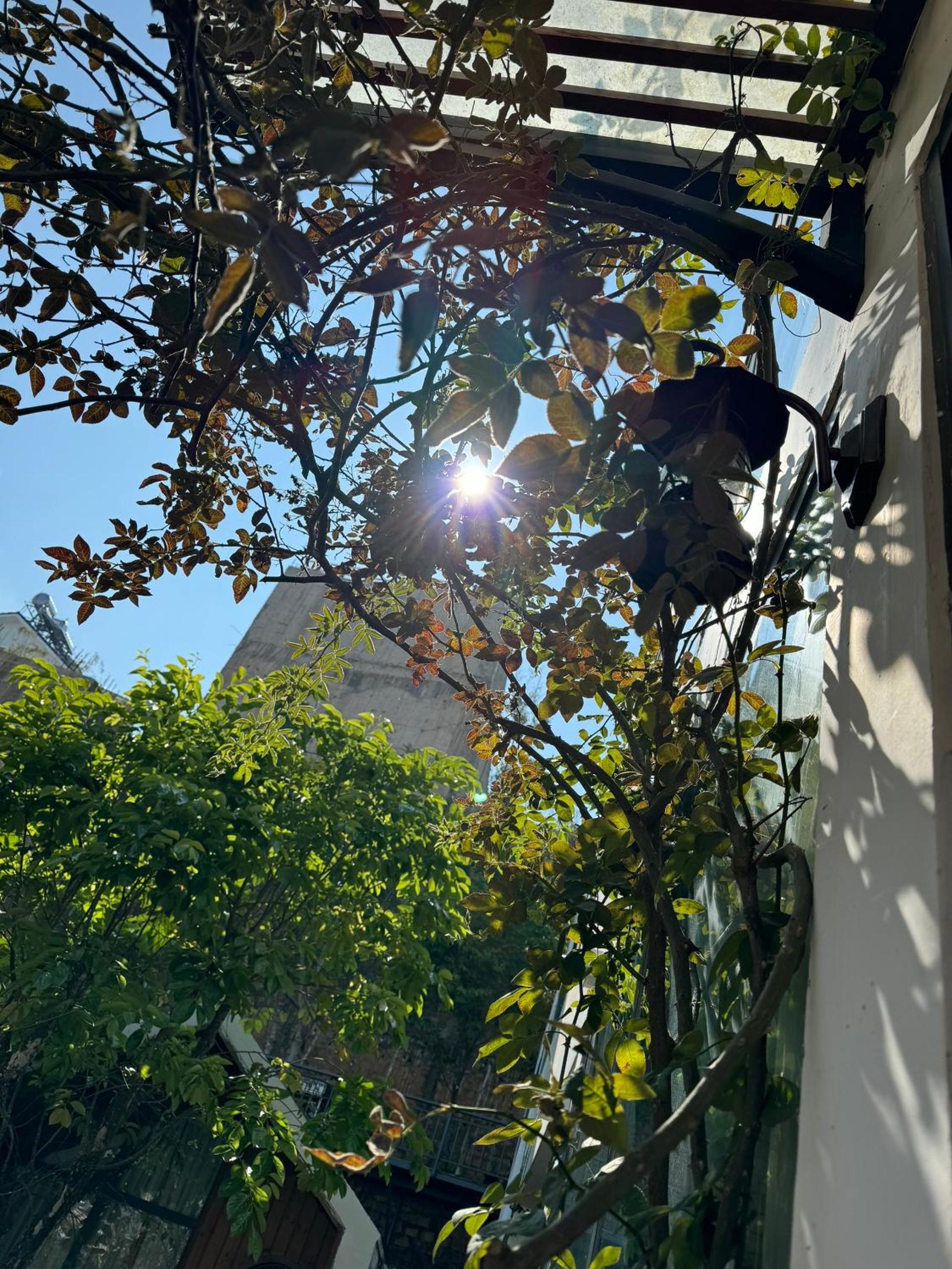 Nhà Sói Homestay Da Lat