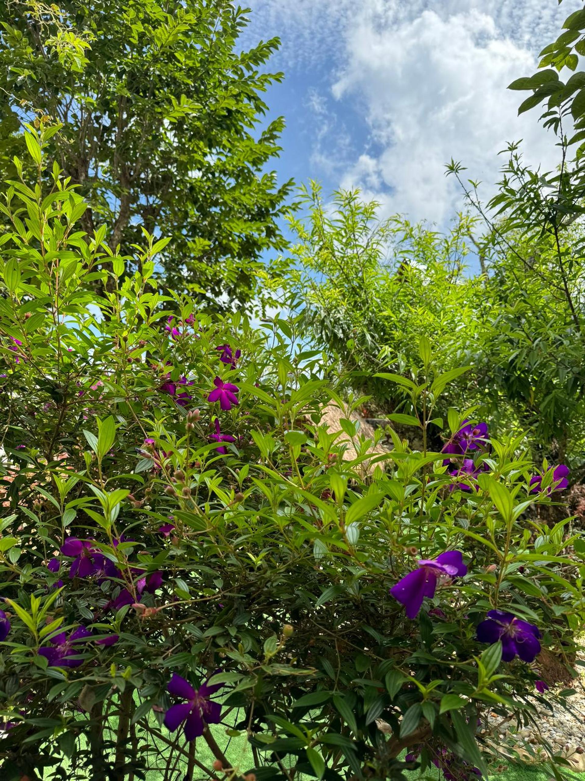 Nhà Sói Homestay Da Lat