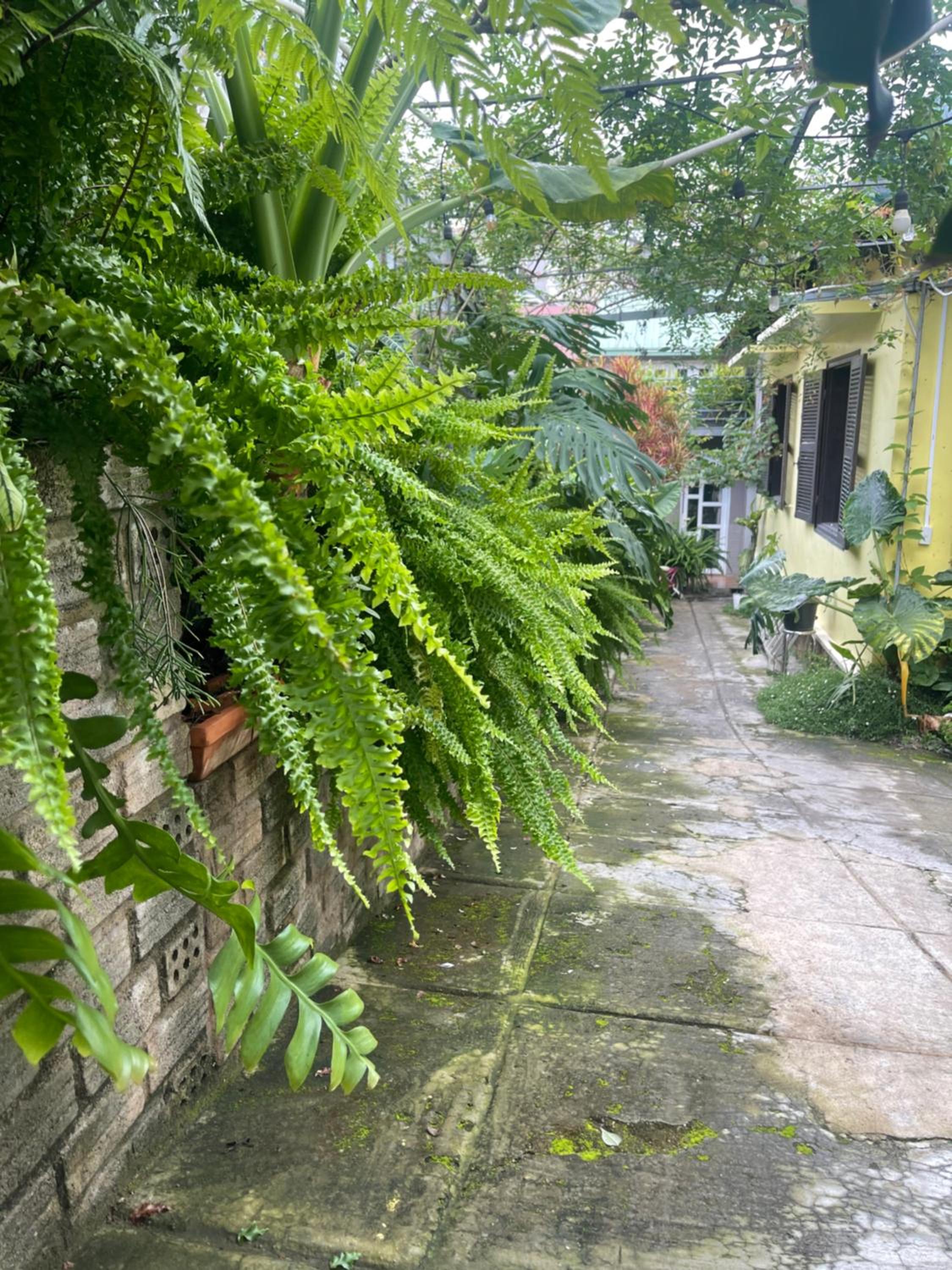 Dốc Garden Homestay Đà Lạt