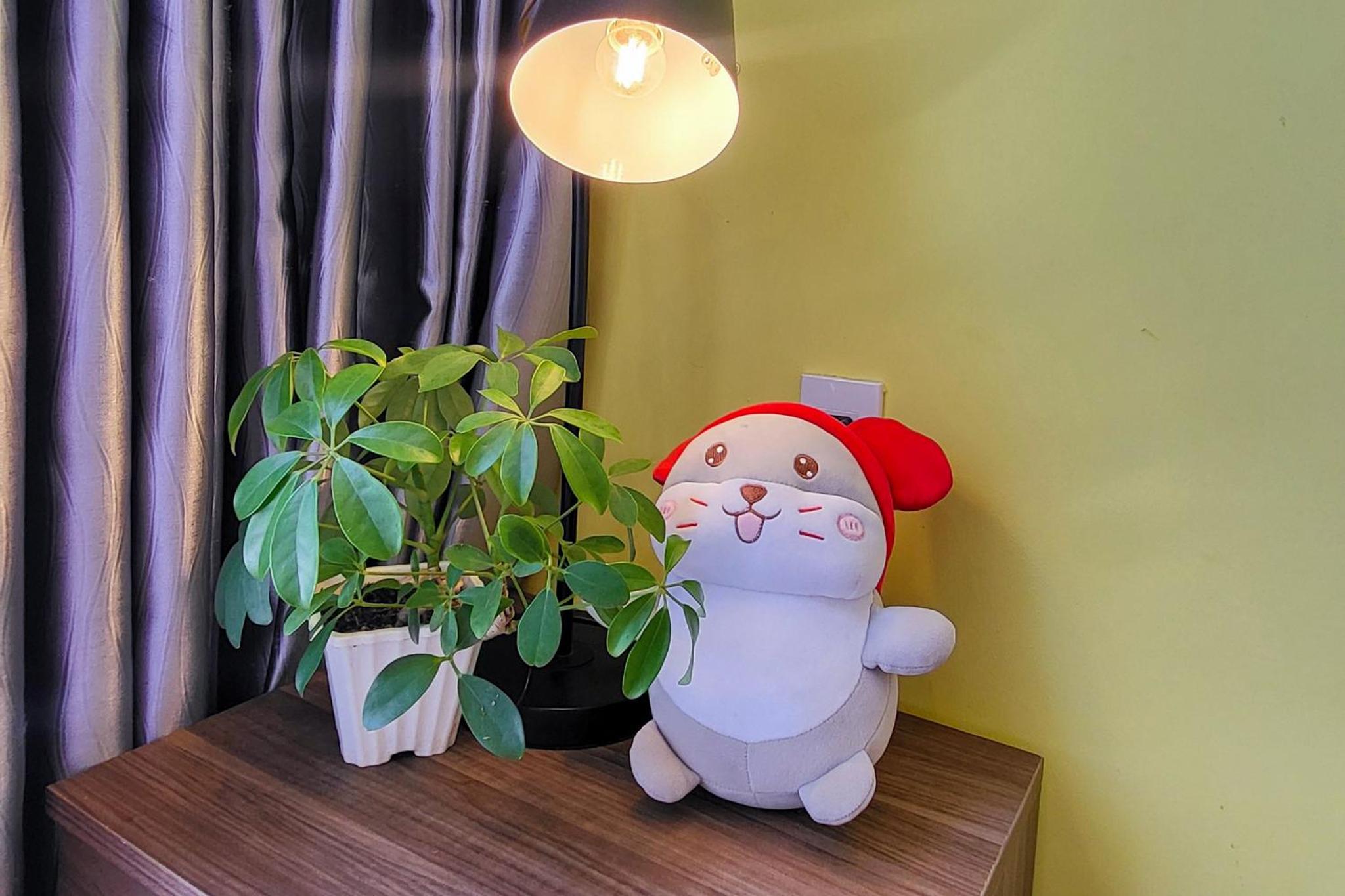 Căn Hộ - Chubby House Dalat