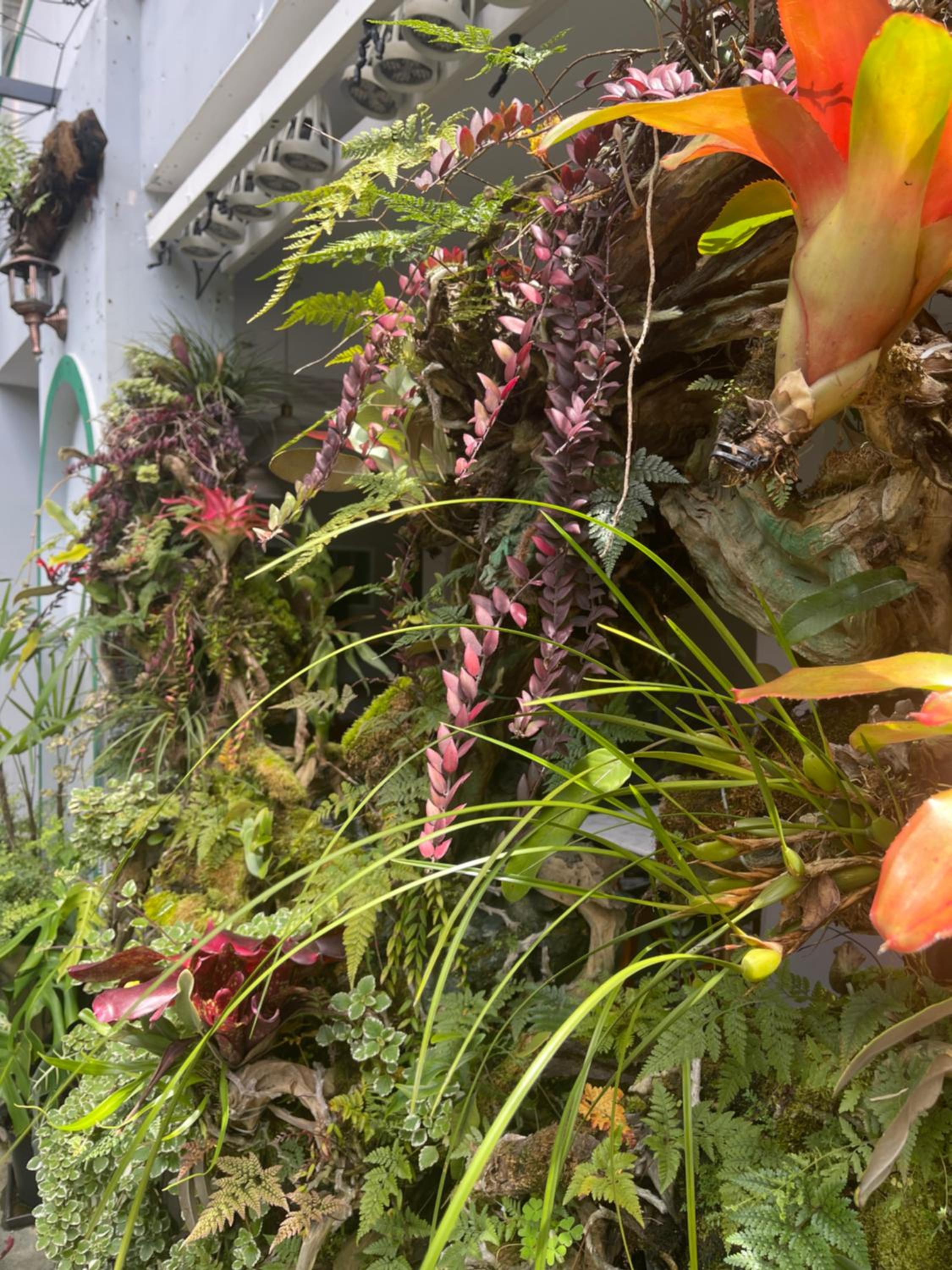 Dốc Garden Homestay Đà Lạt