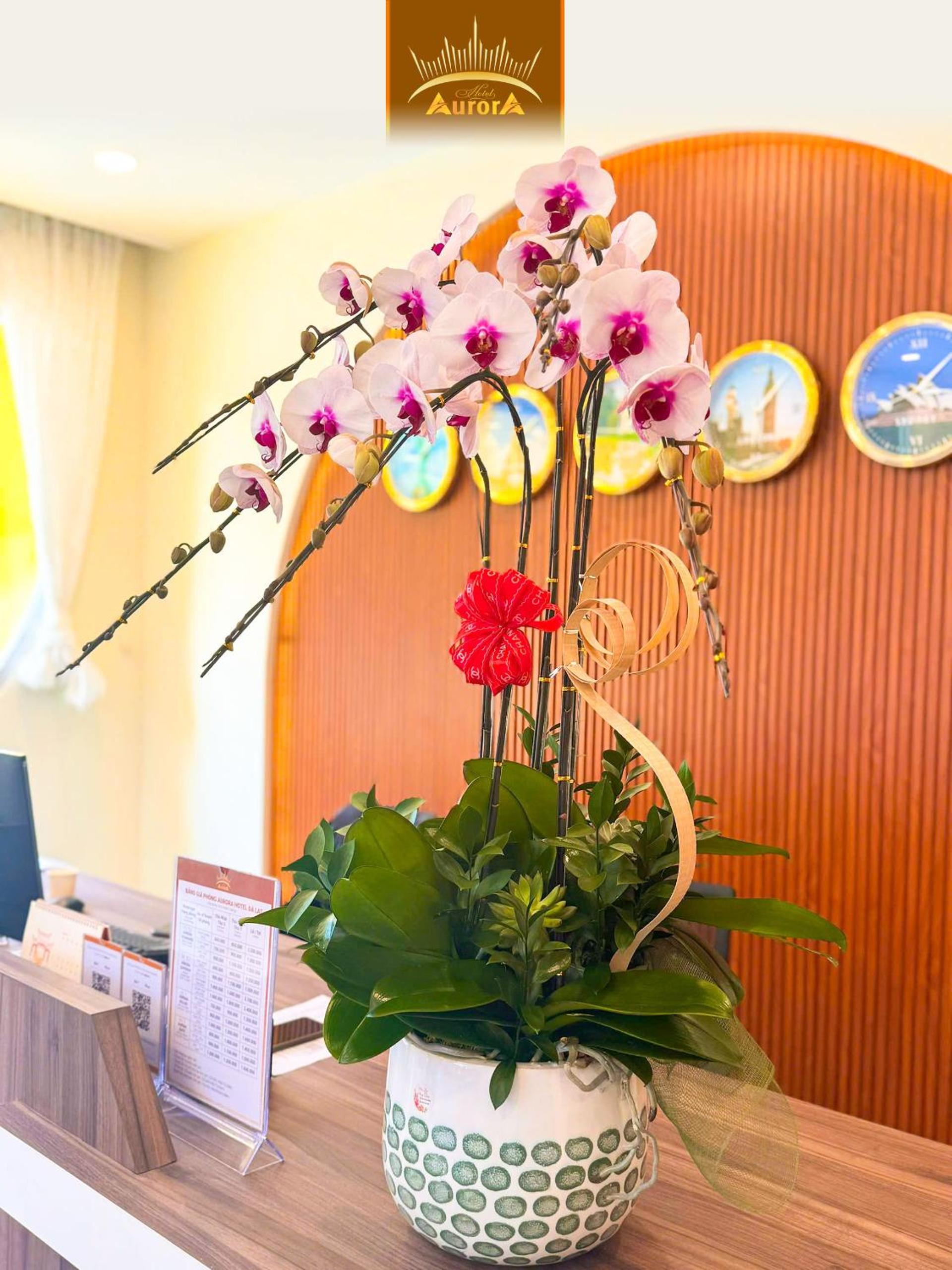 Aurora Hotel Đà Lạt