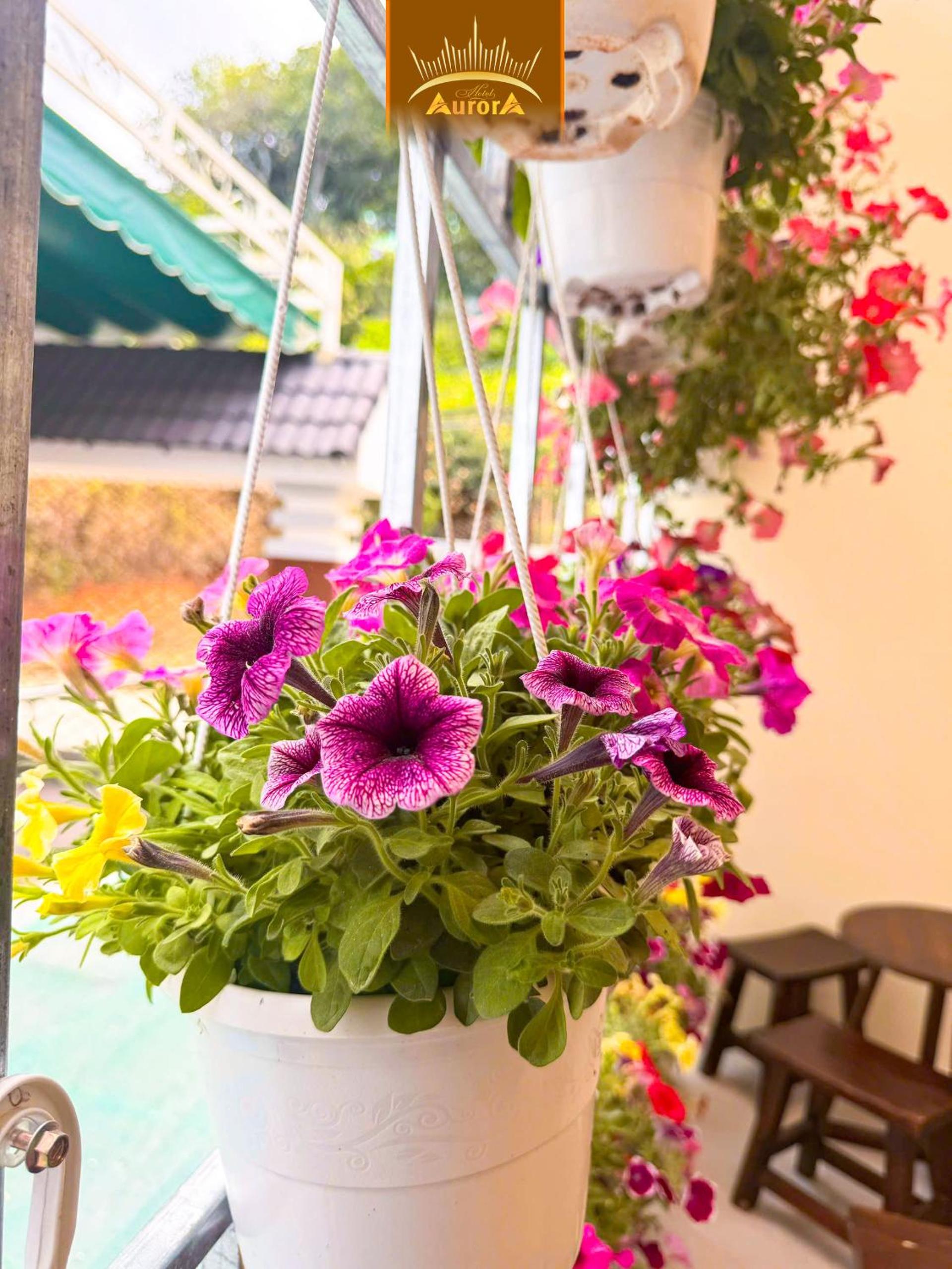 Aurora Hotel Đà Lạt