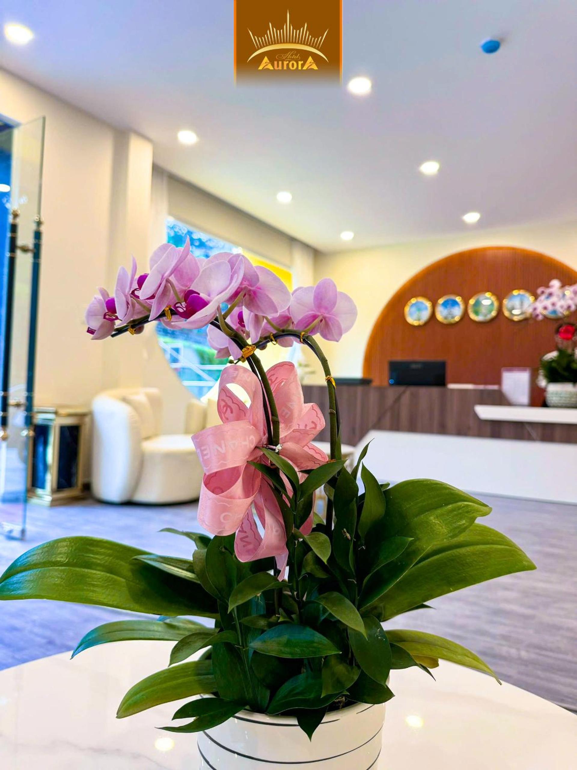 Aurora Hotel Đà Lạt