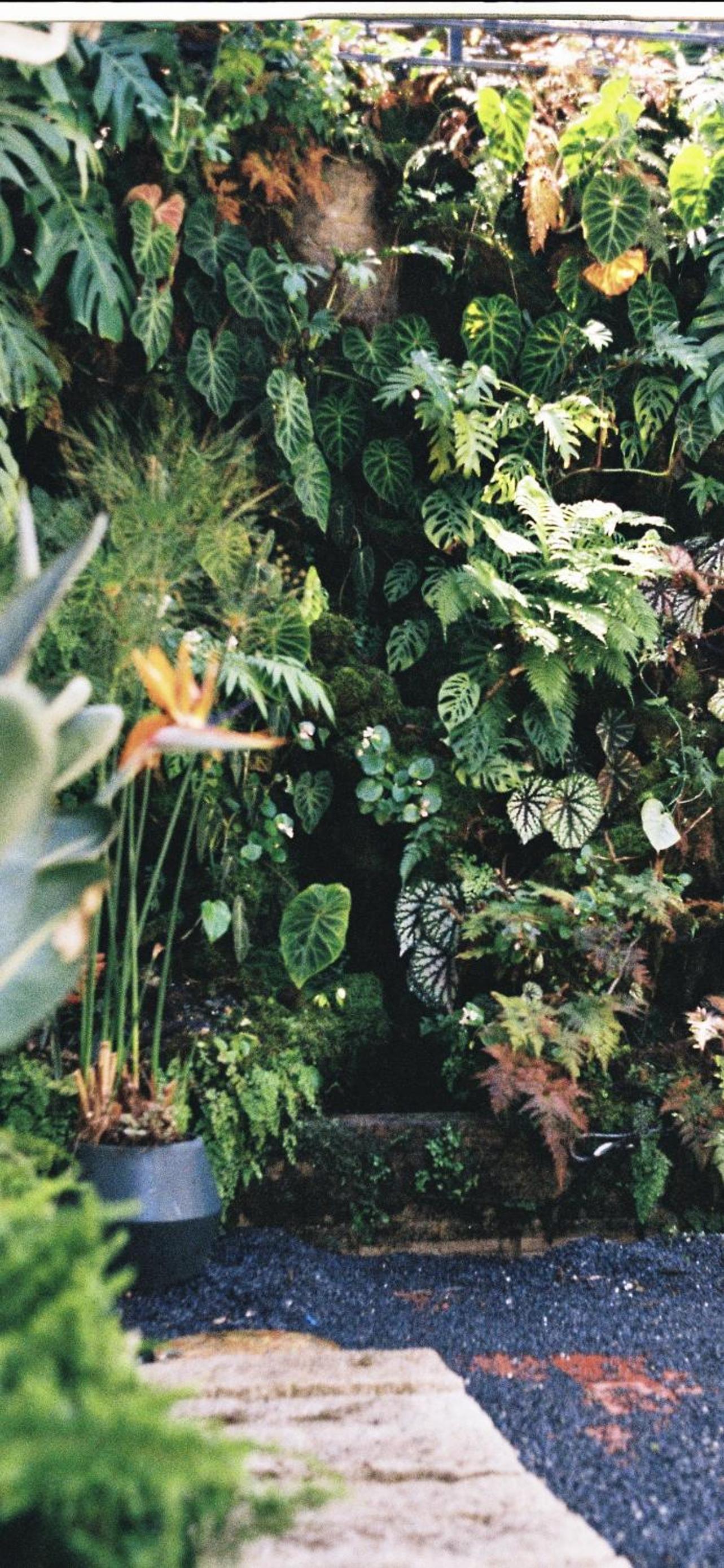 Dốc Garden Homestay Đà Lạt