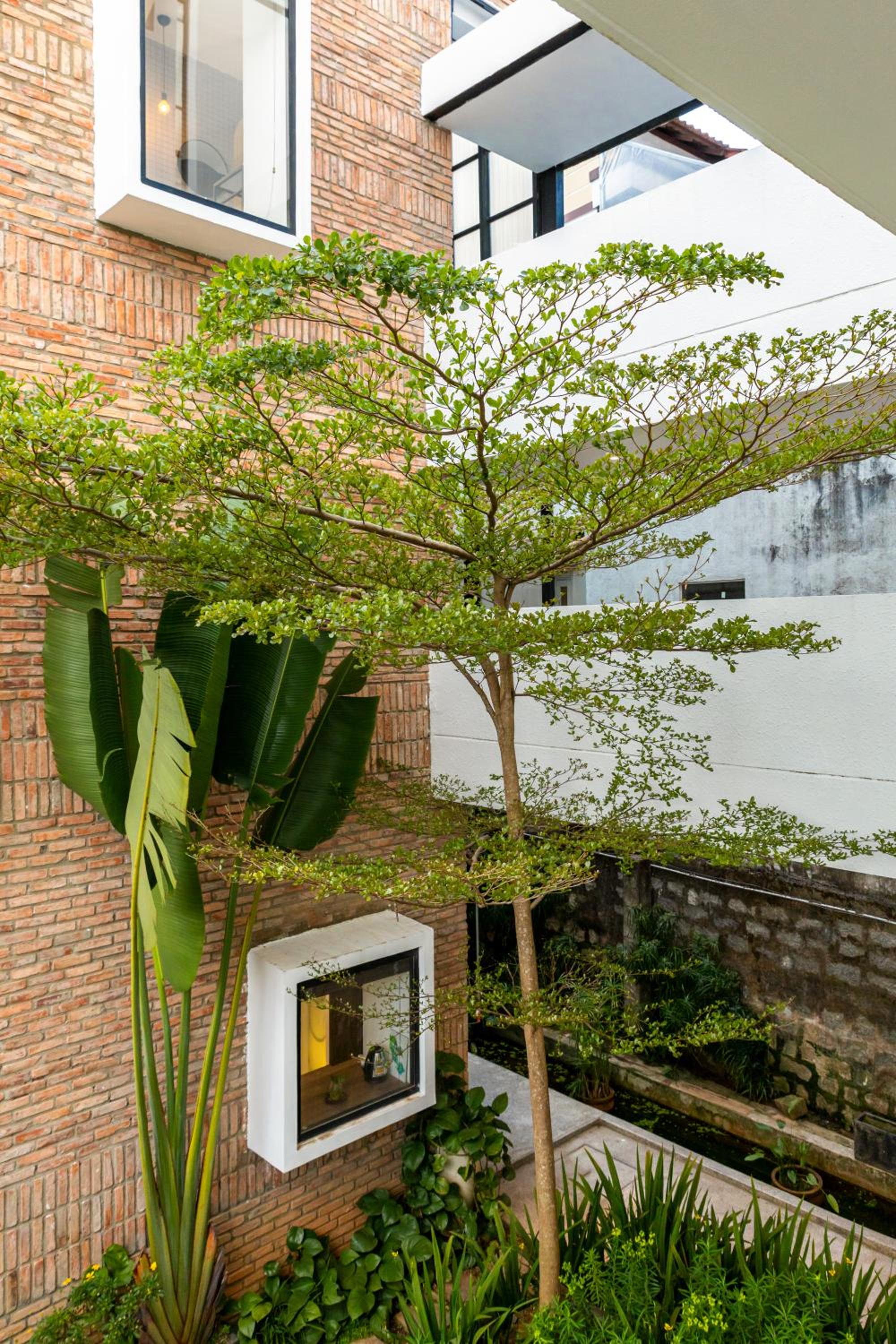 D'Mai Xanh Boutique Hotel Da Lat