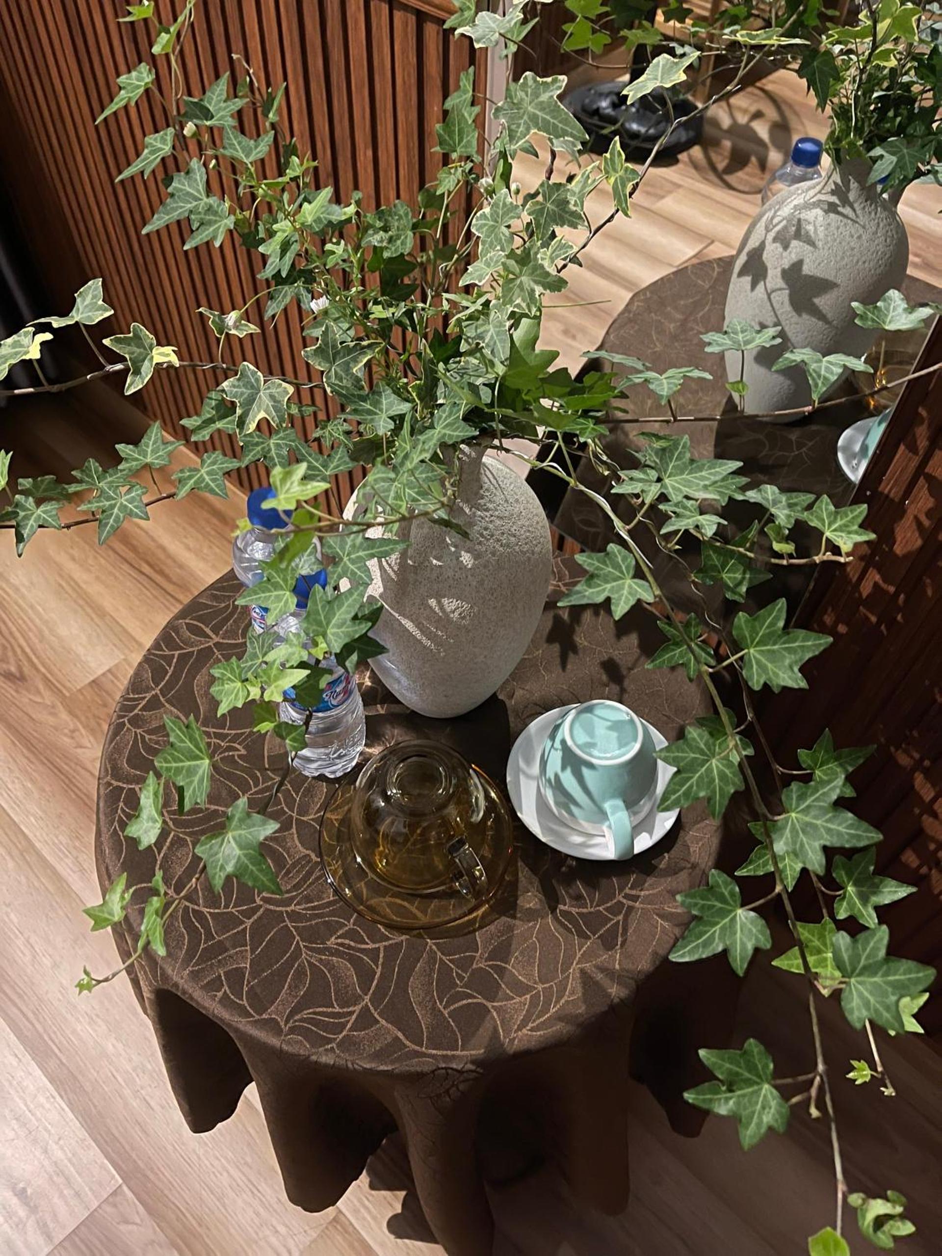 Dốc Garden Homestay Đà Lạt