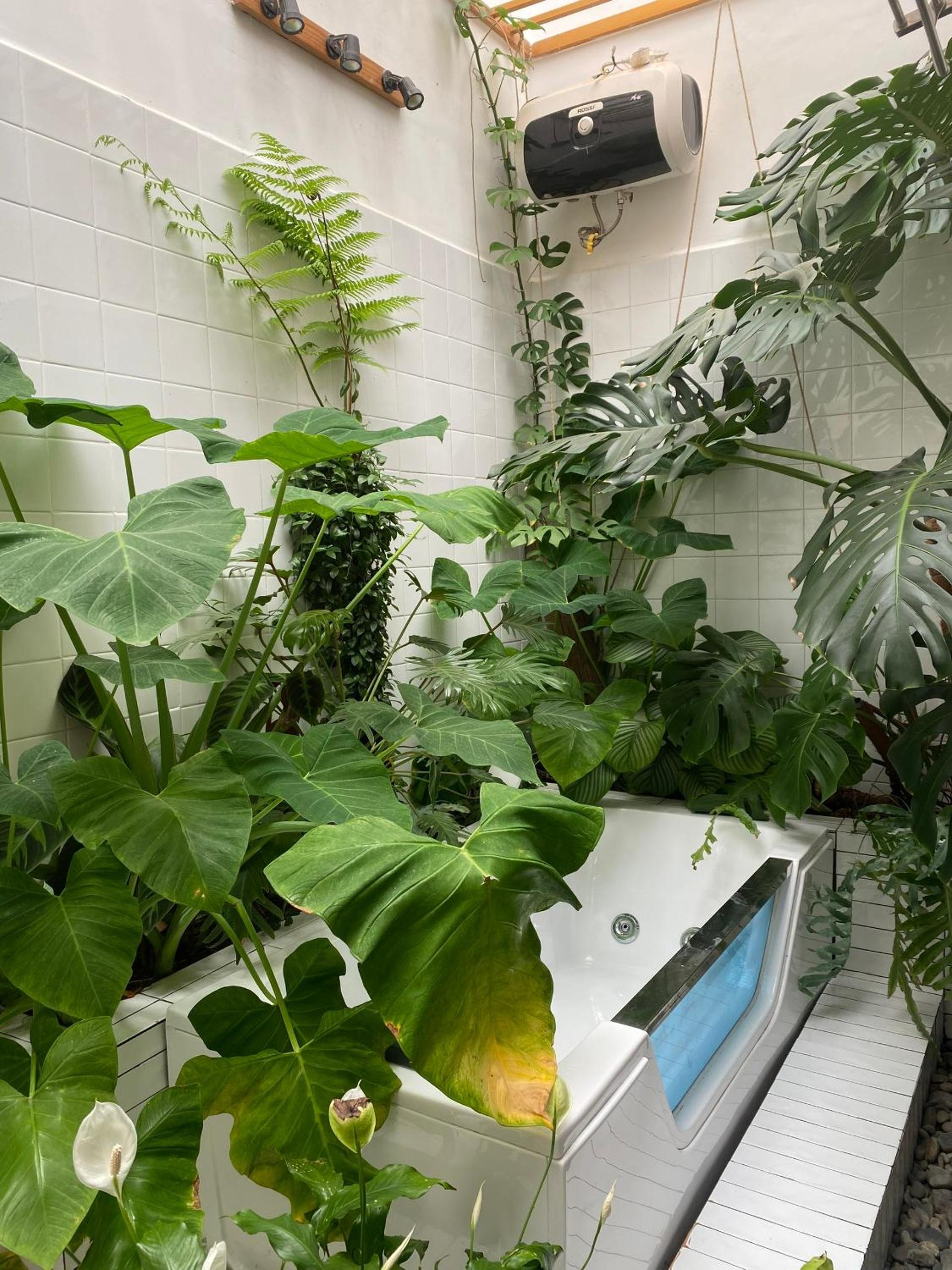 Dốc Garden Homestay Đà Lạt