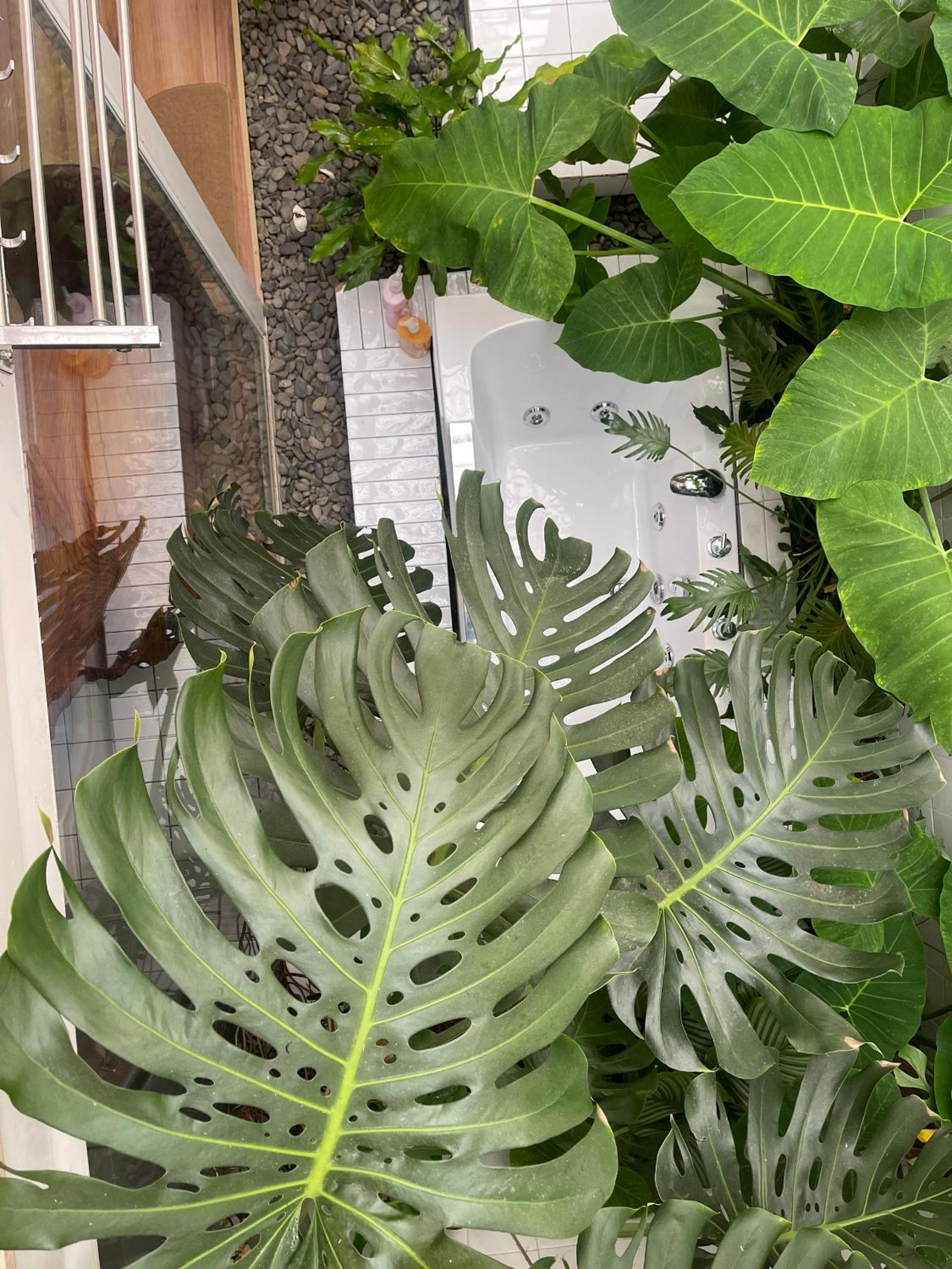 Dốc Garden Homestay Đà Lạt