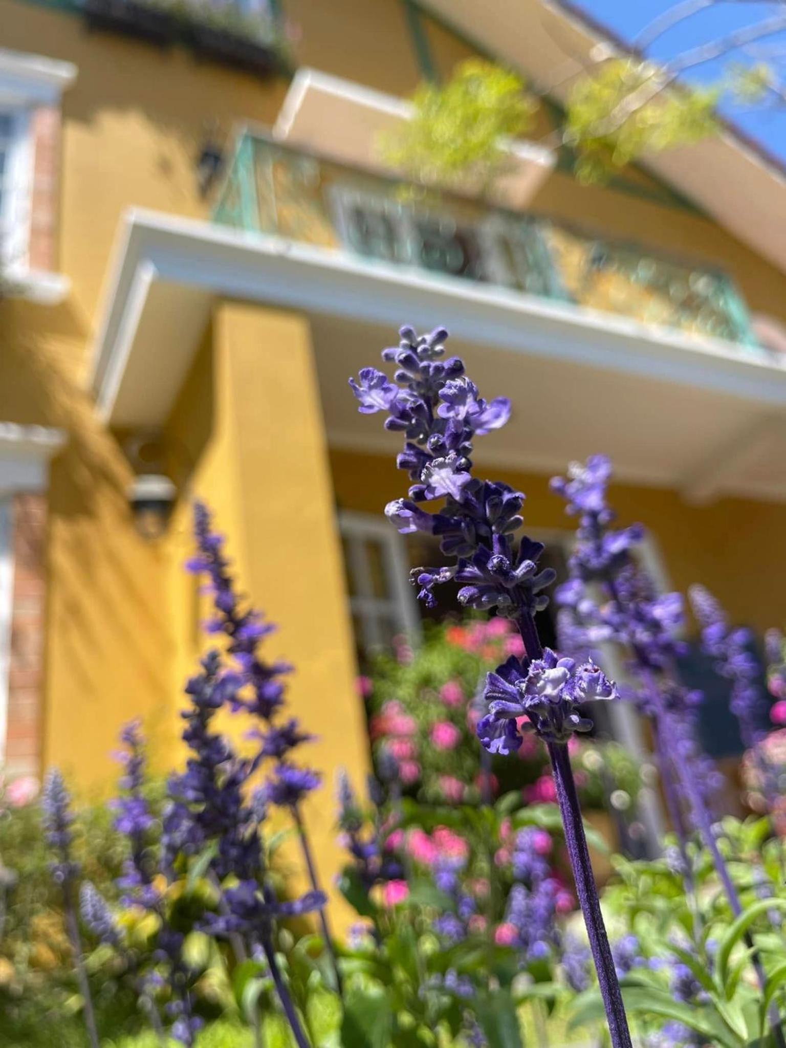 BICH DAO Boutique - Dalat