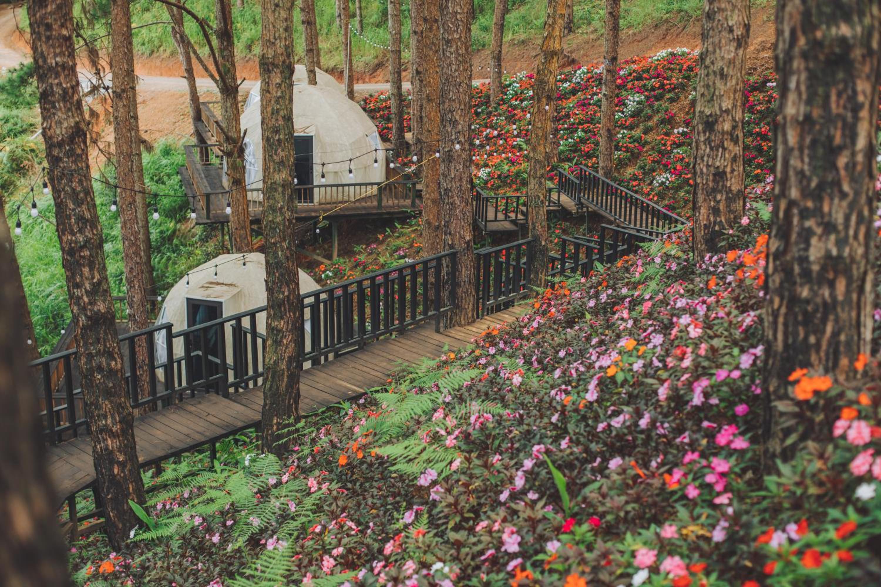 Lavender Dalat Hotel and Resorts