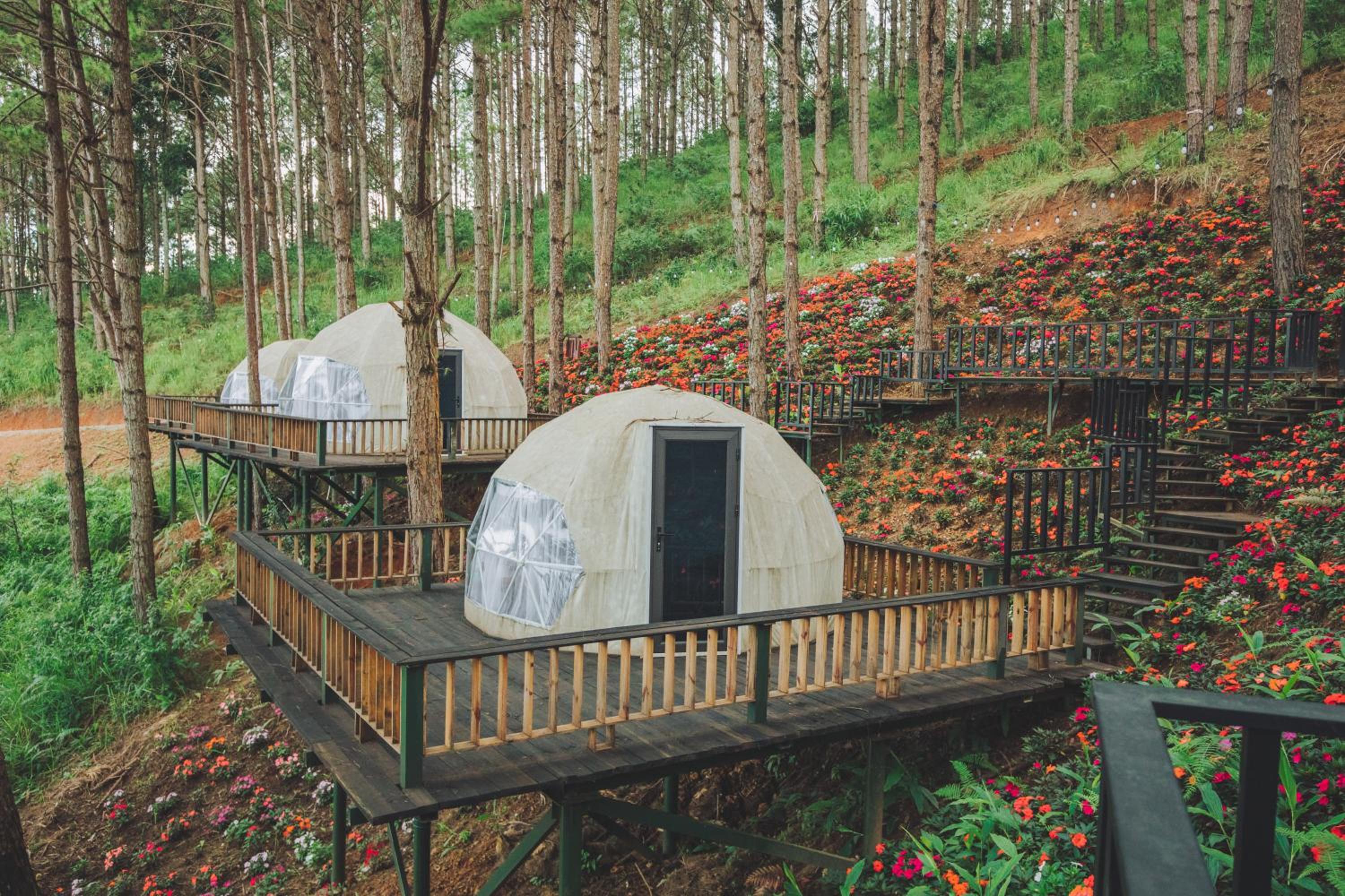 Lavender Dalat Hotel and Resorts