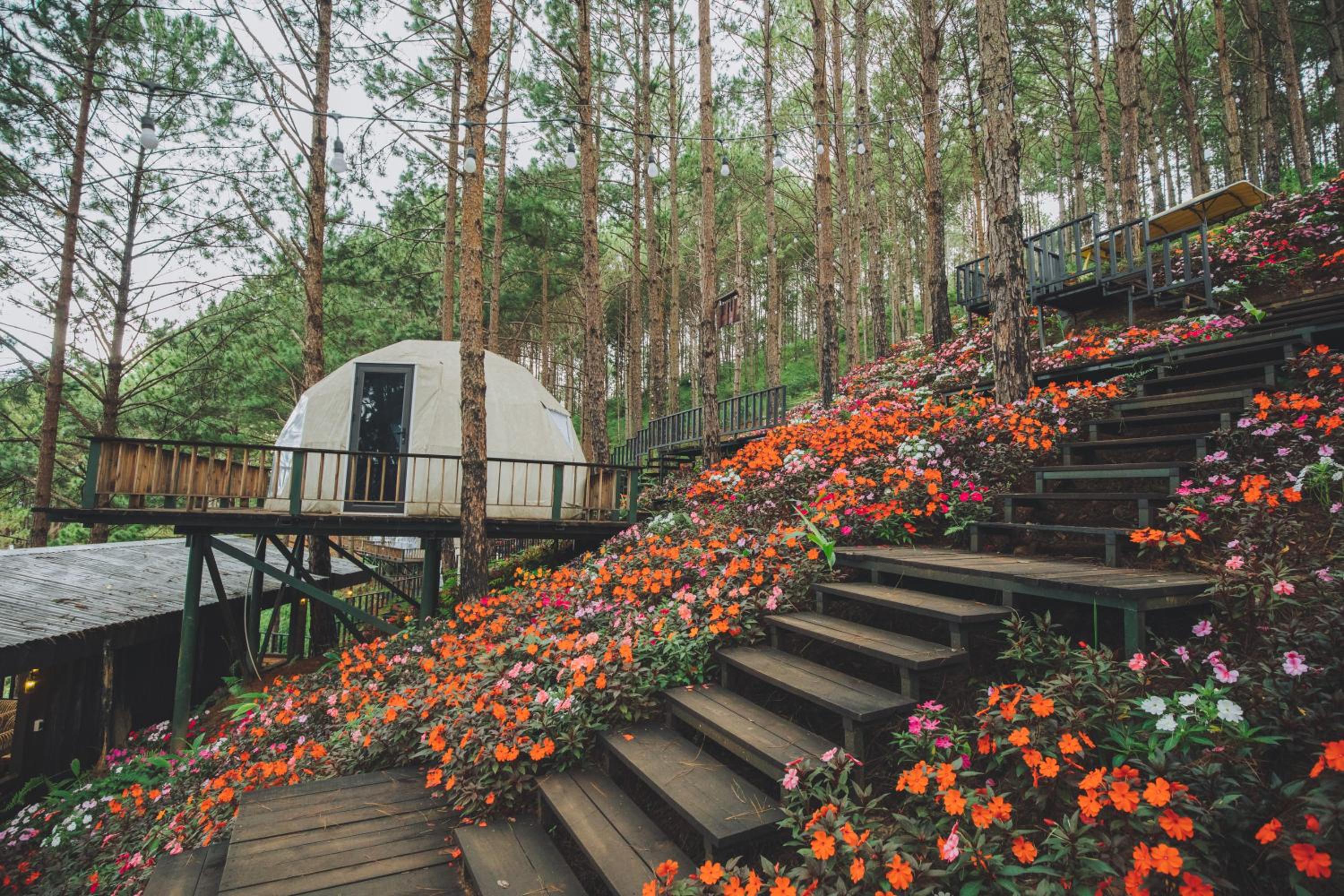 Lavender Dalat Hotel and Resorts
