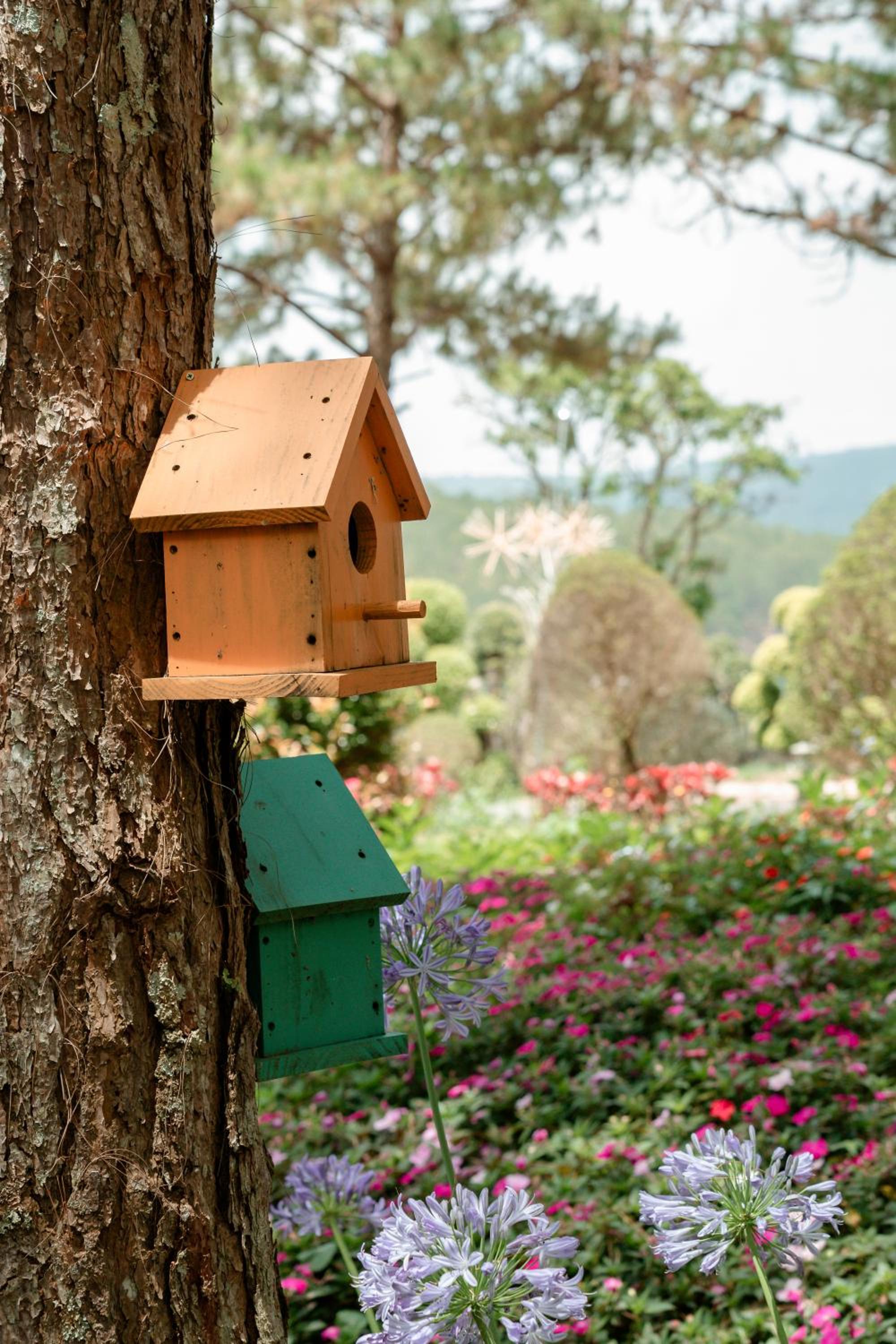 Lavender Dalat Hotel and Resorts