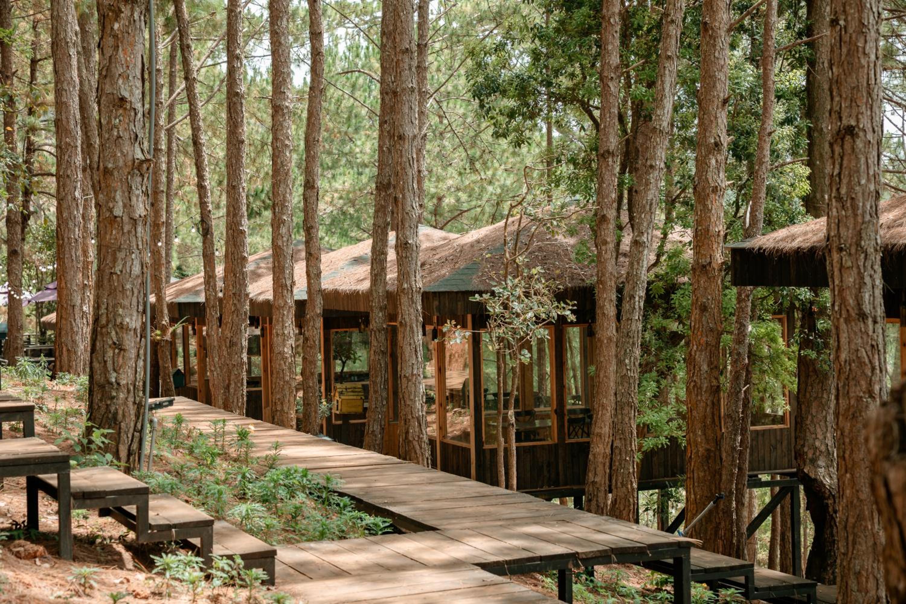 Lavender Dalat Hotel and Resorts