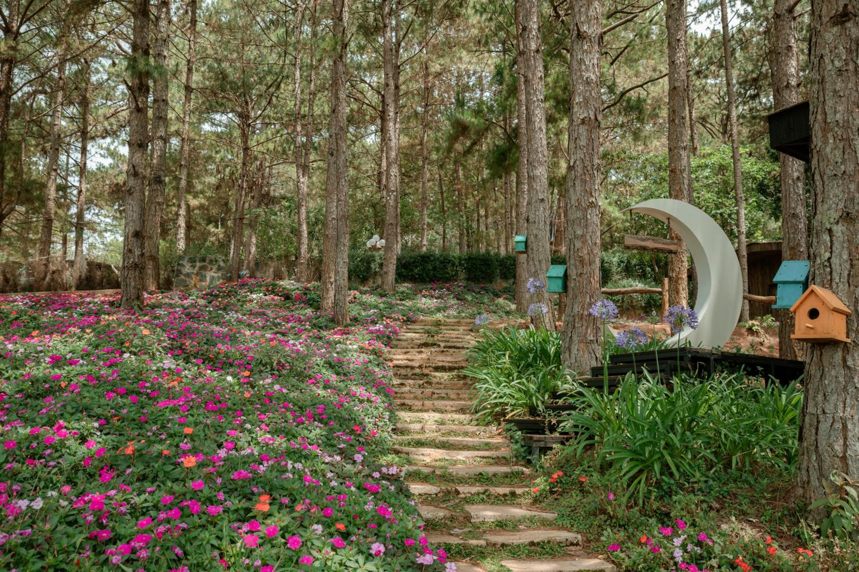 Lavender Dalat Hotel and Resorts