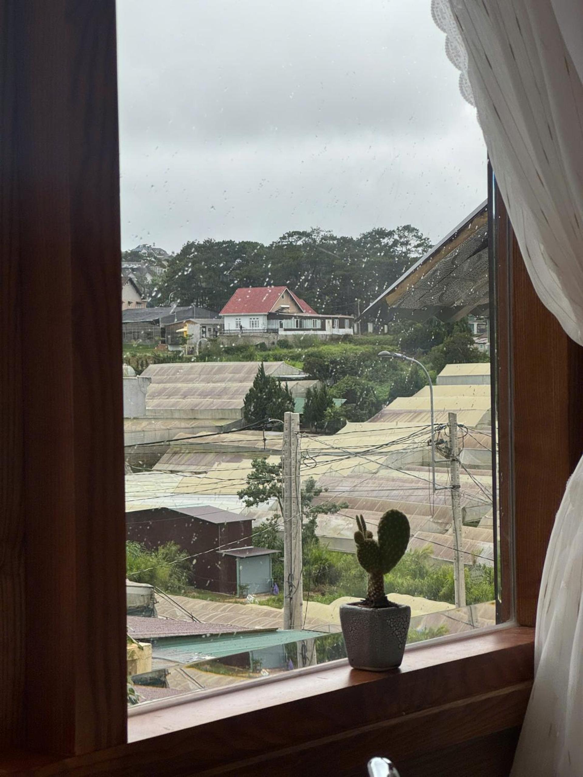 Nhà Sói Homestay Da Lat