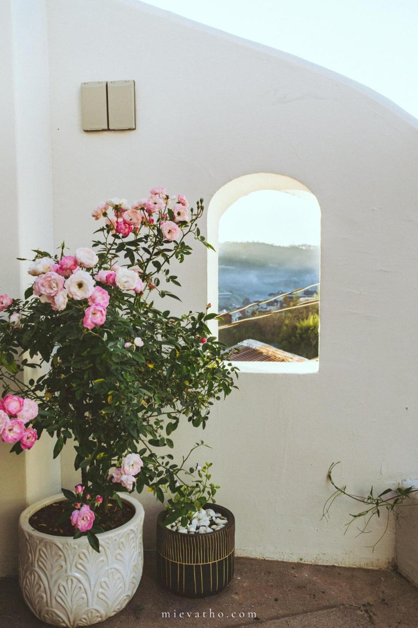 The Aratana Villa
