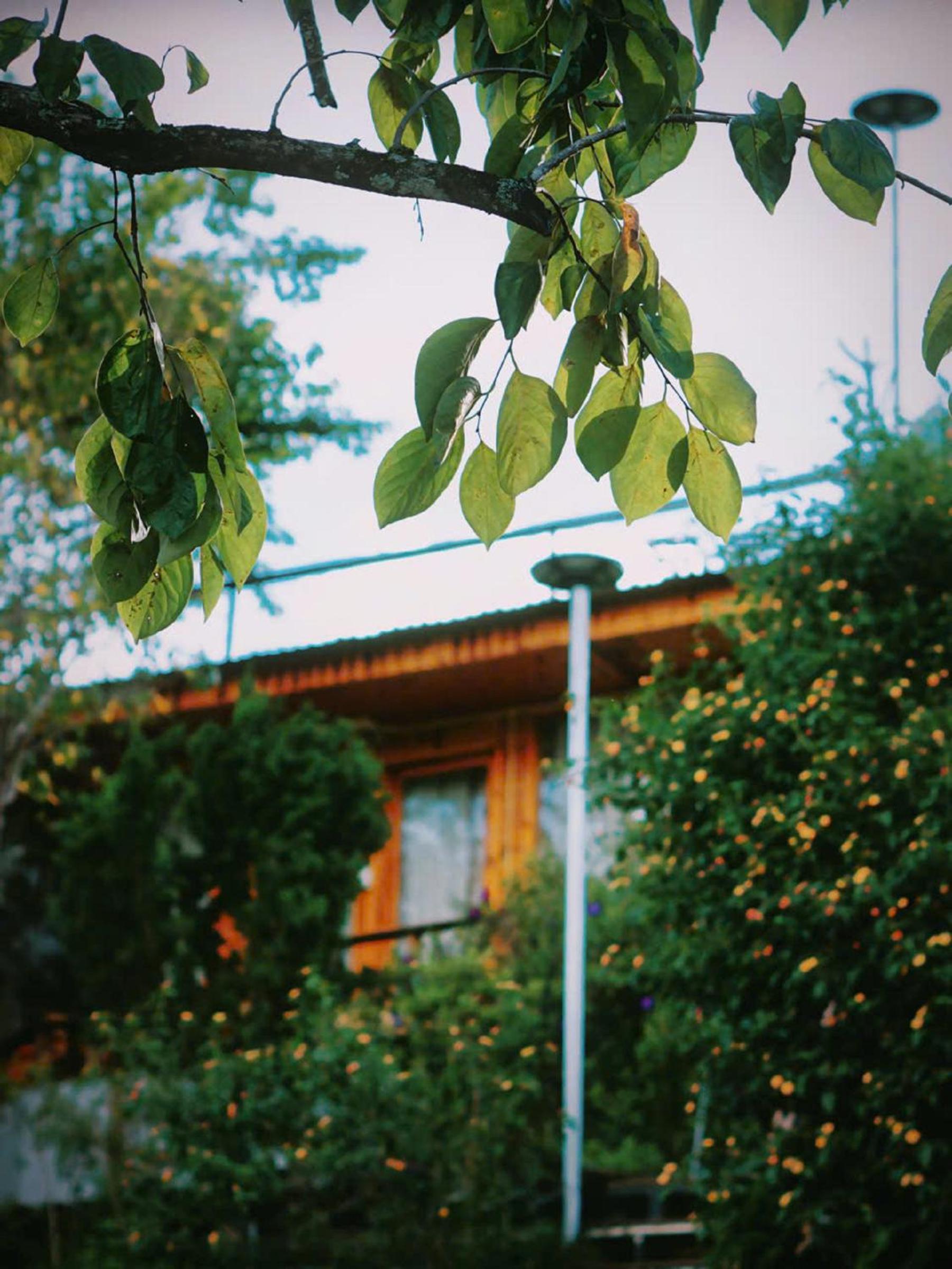 Lưng Chừng House