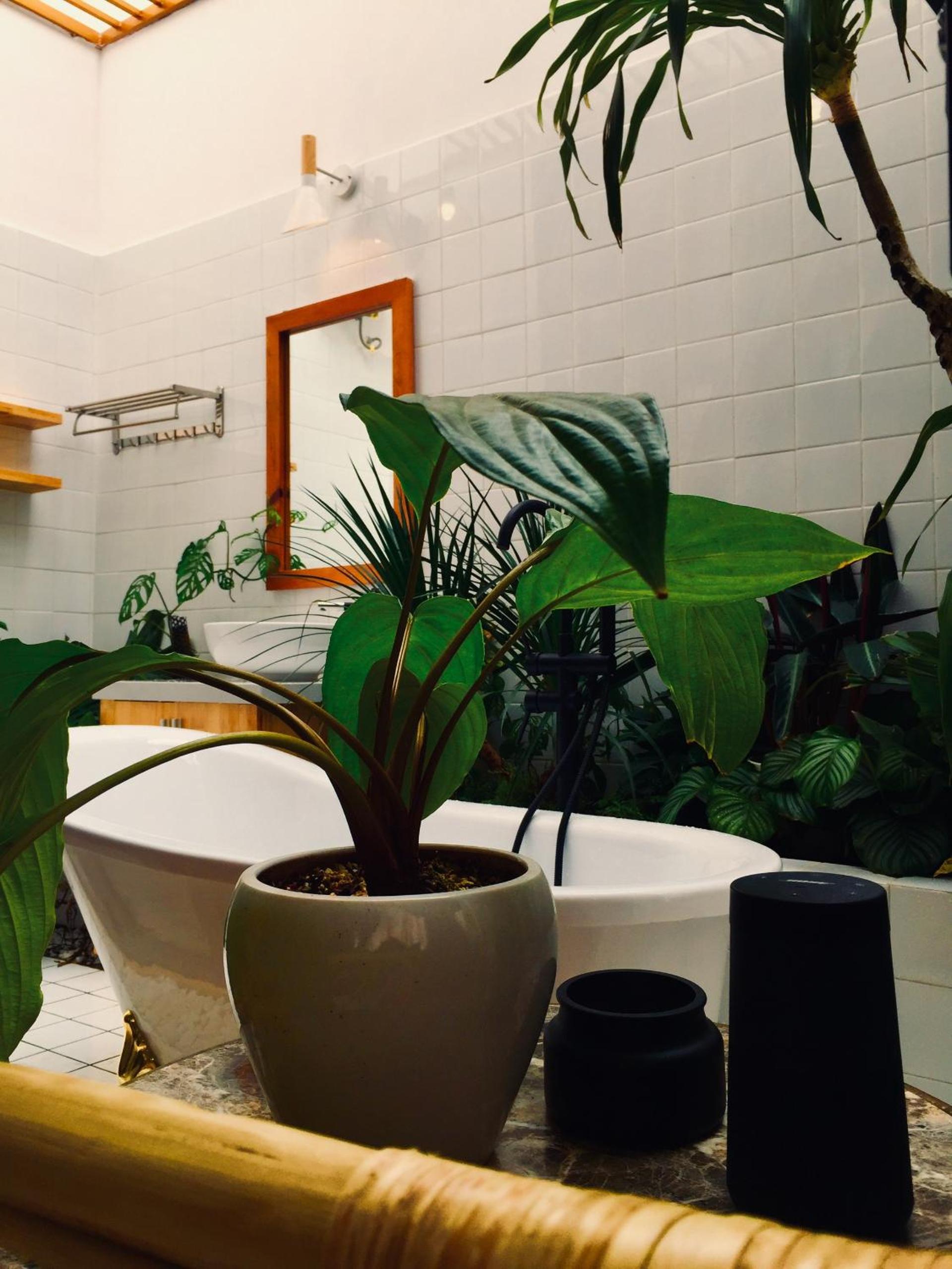 Dốc Garden Homestay Đà Lạt