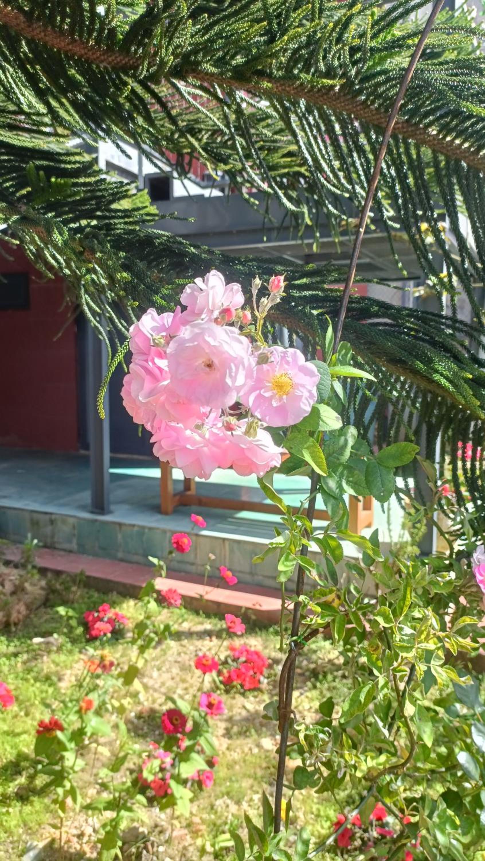 Rose Hill Villa Dalat