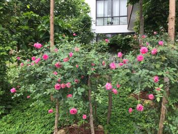 Hôtels à Ngọc Quang