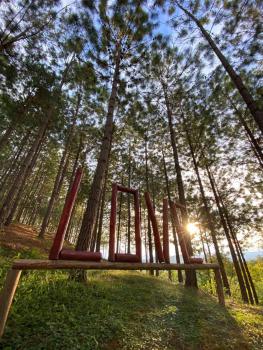 Luxury Camping à Hobo