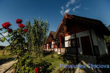 Hôtels à Murighiol