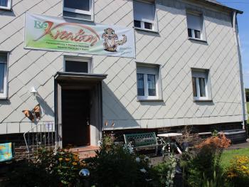 Hôtels acceptant les animaux à Hallschlag