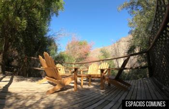 Pet-friendly hotels à San Alfonso