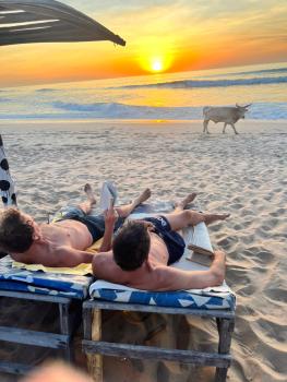 Pet-friendly hotels à Gunjur